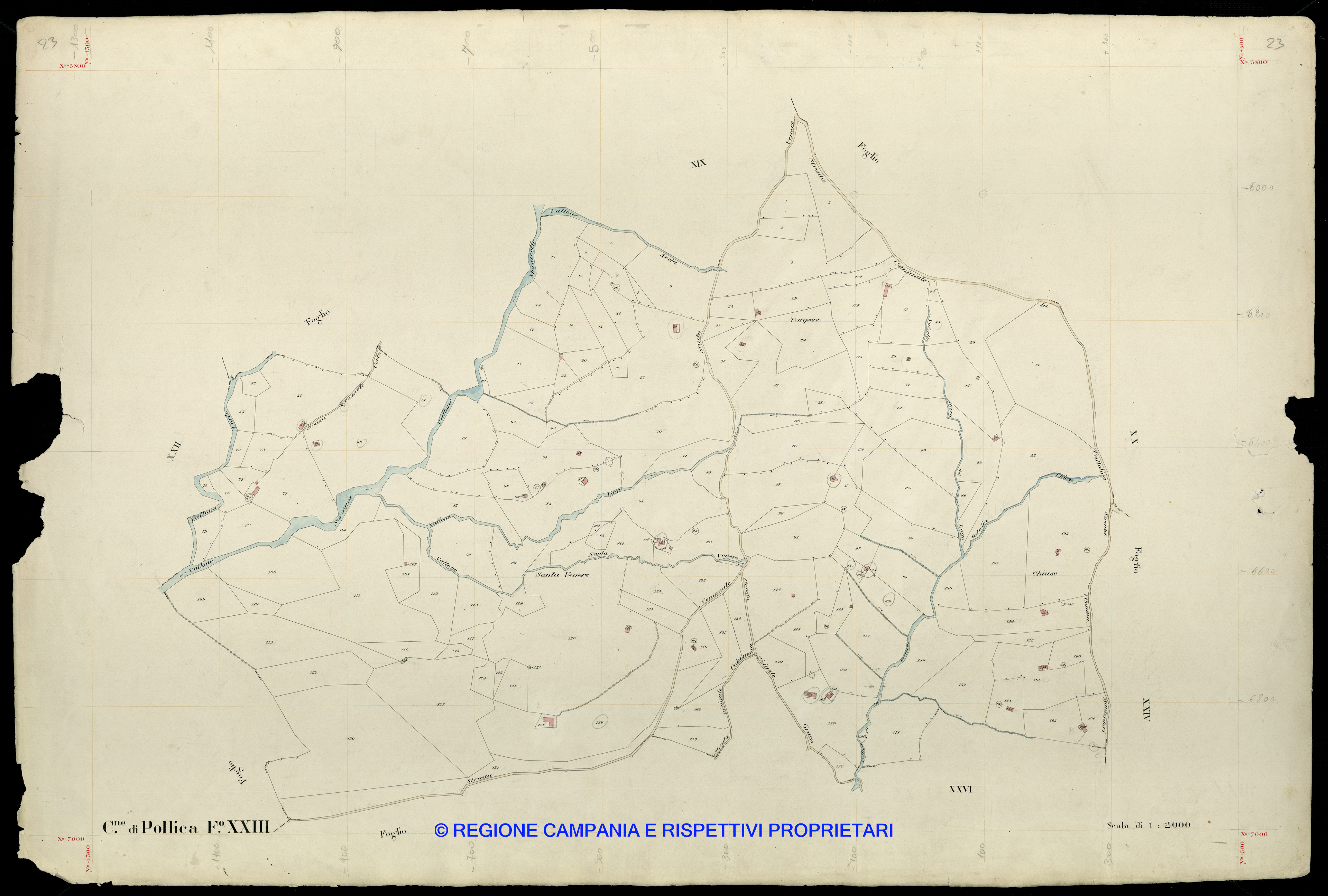 Mappa