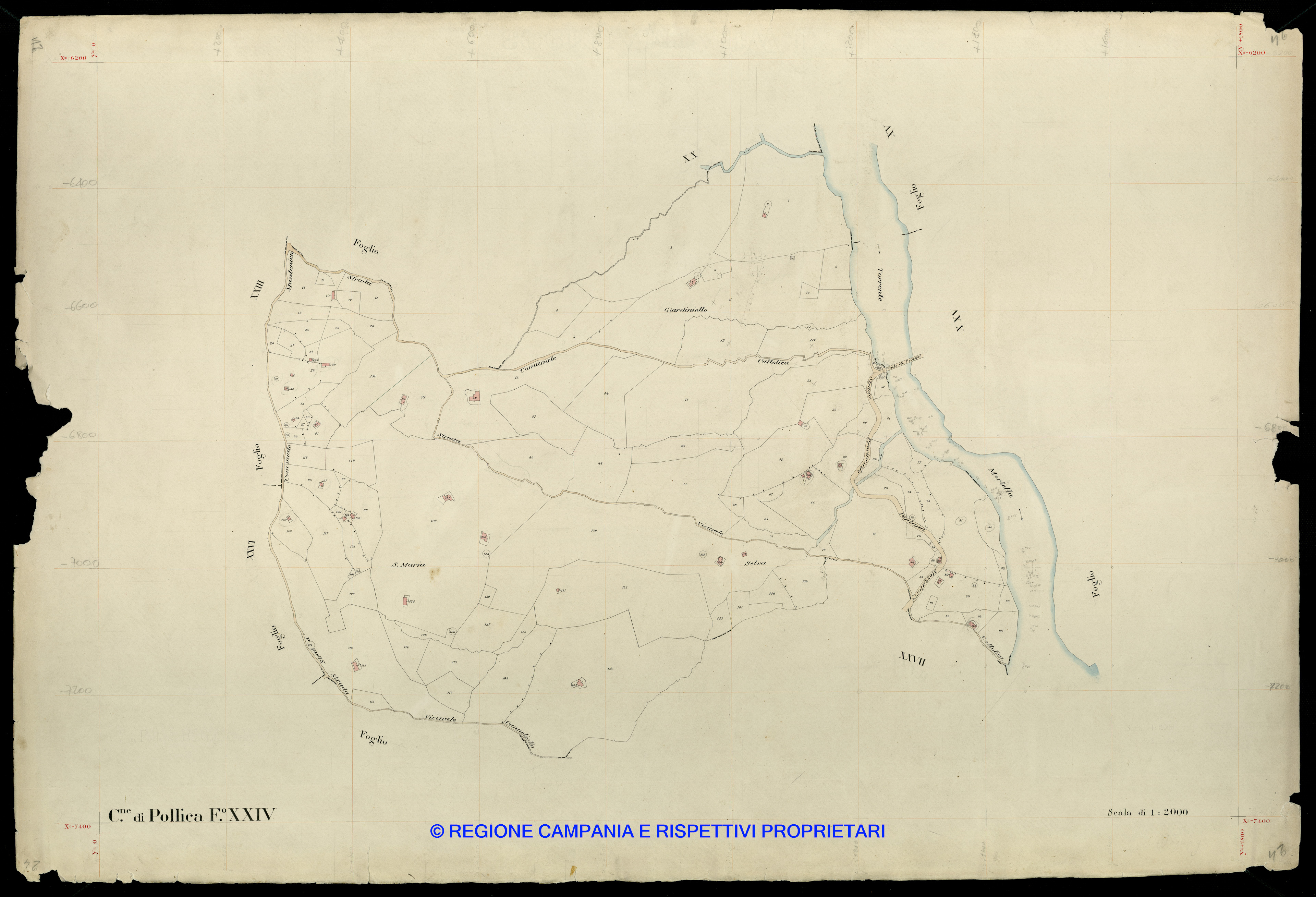 Mappa