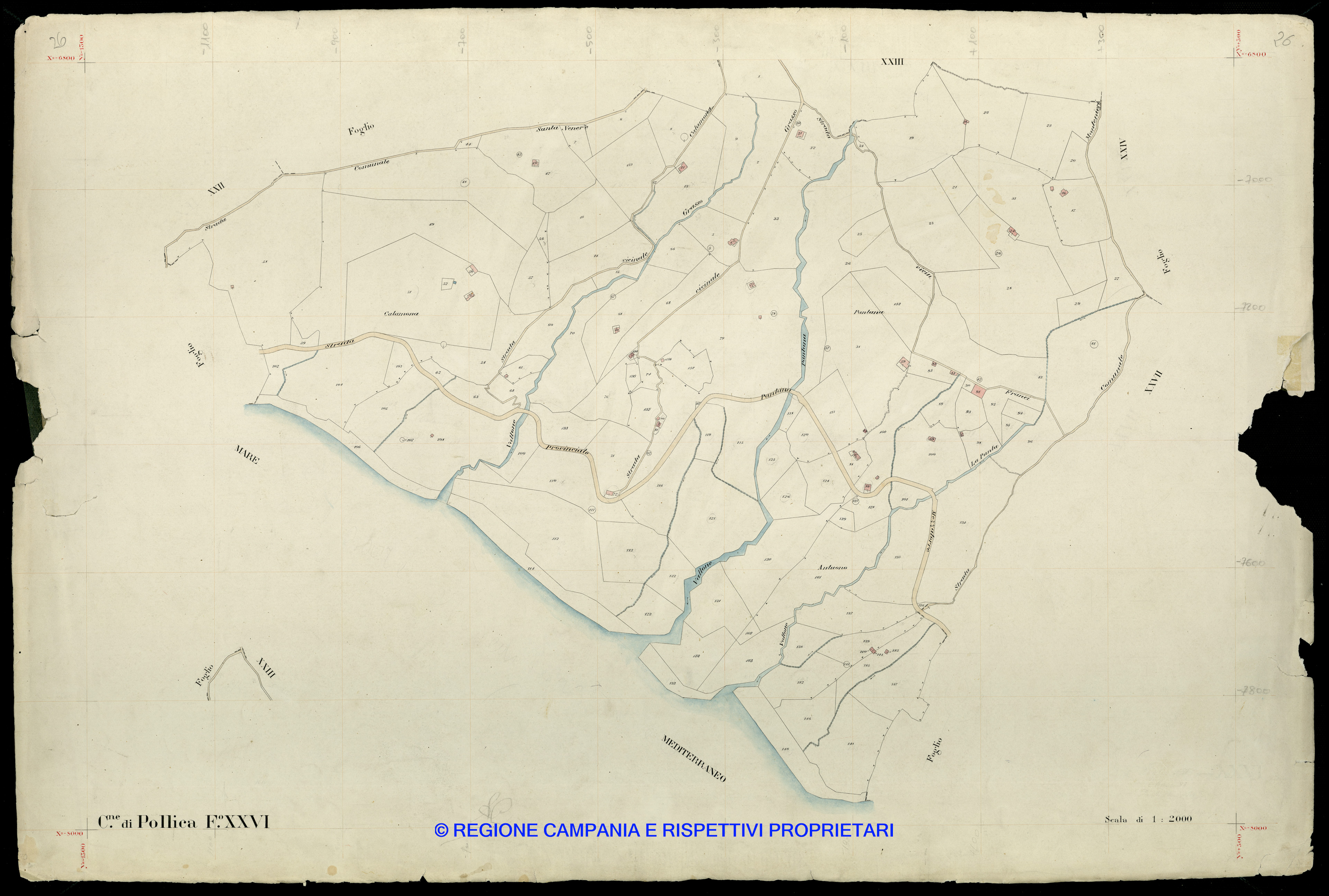 Mappa