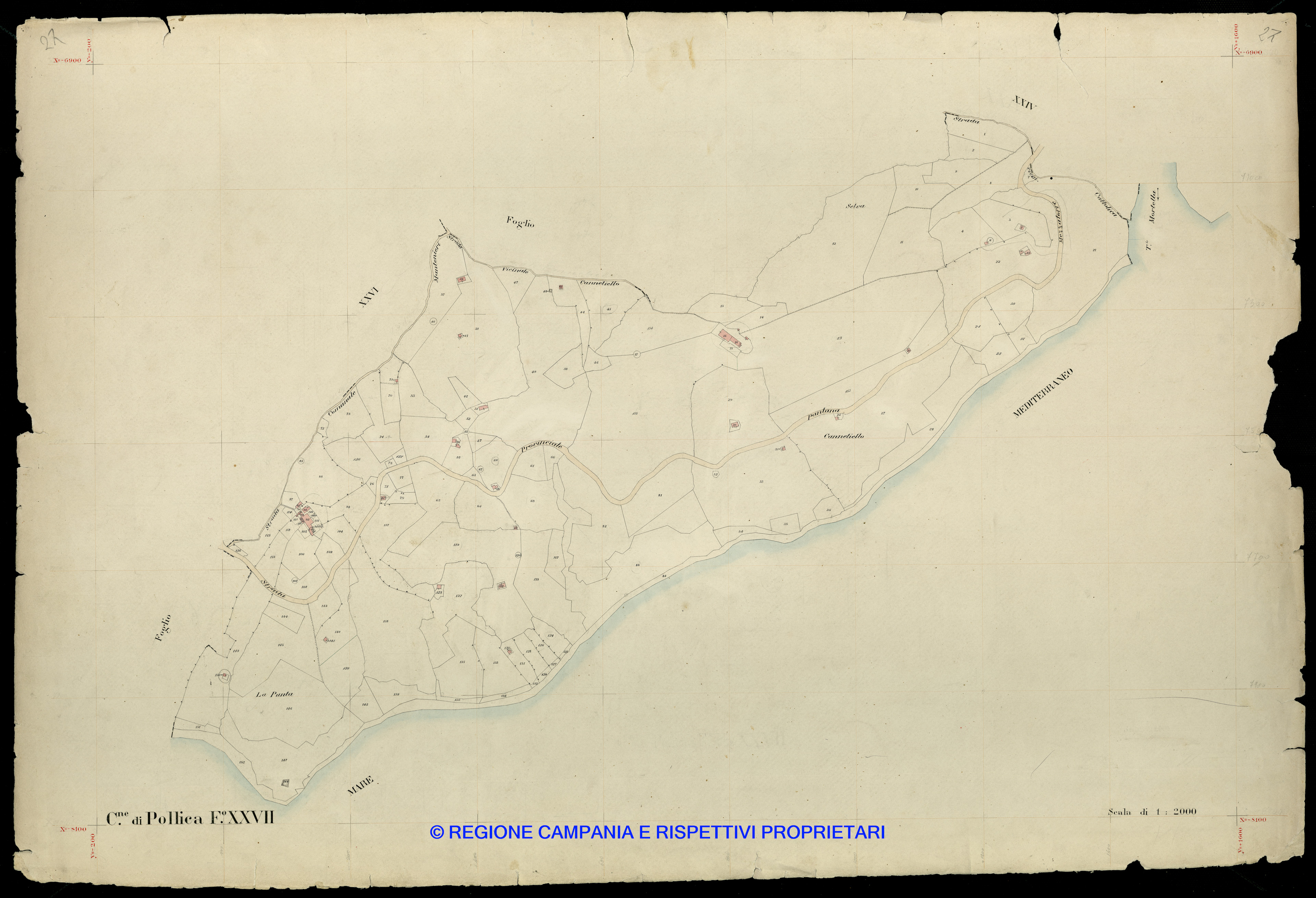 Mappa