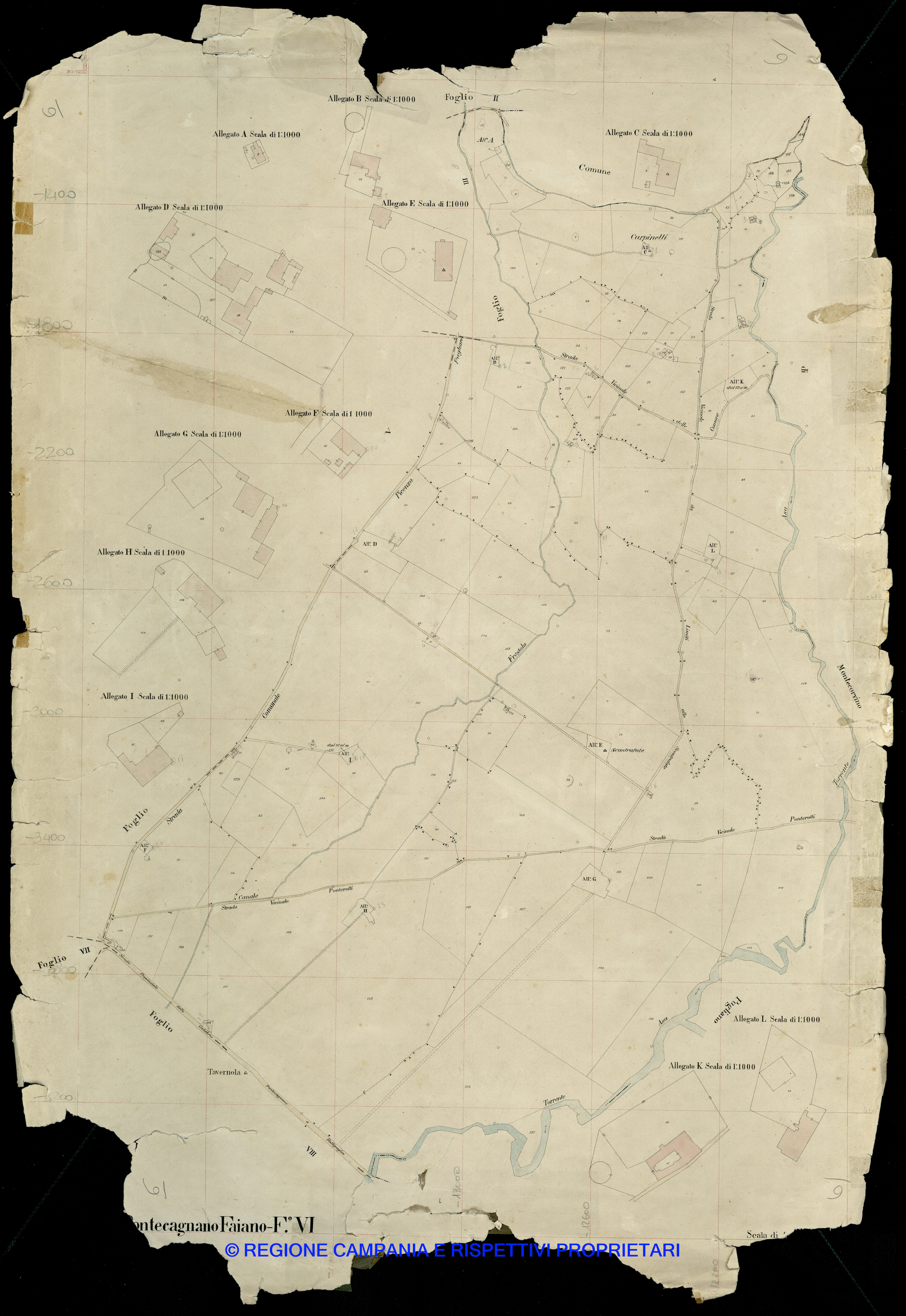 Mappa
