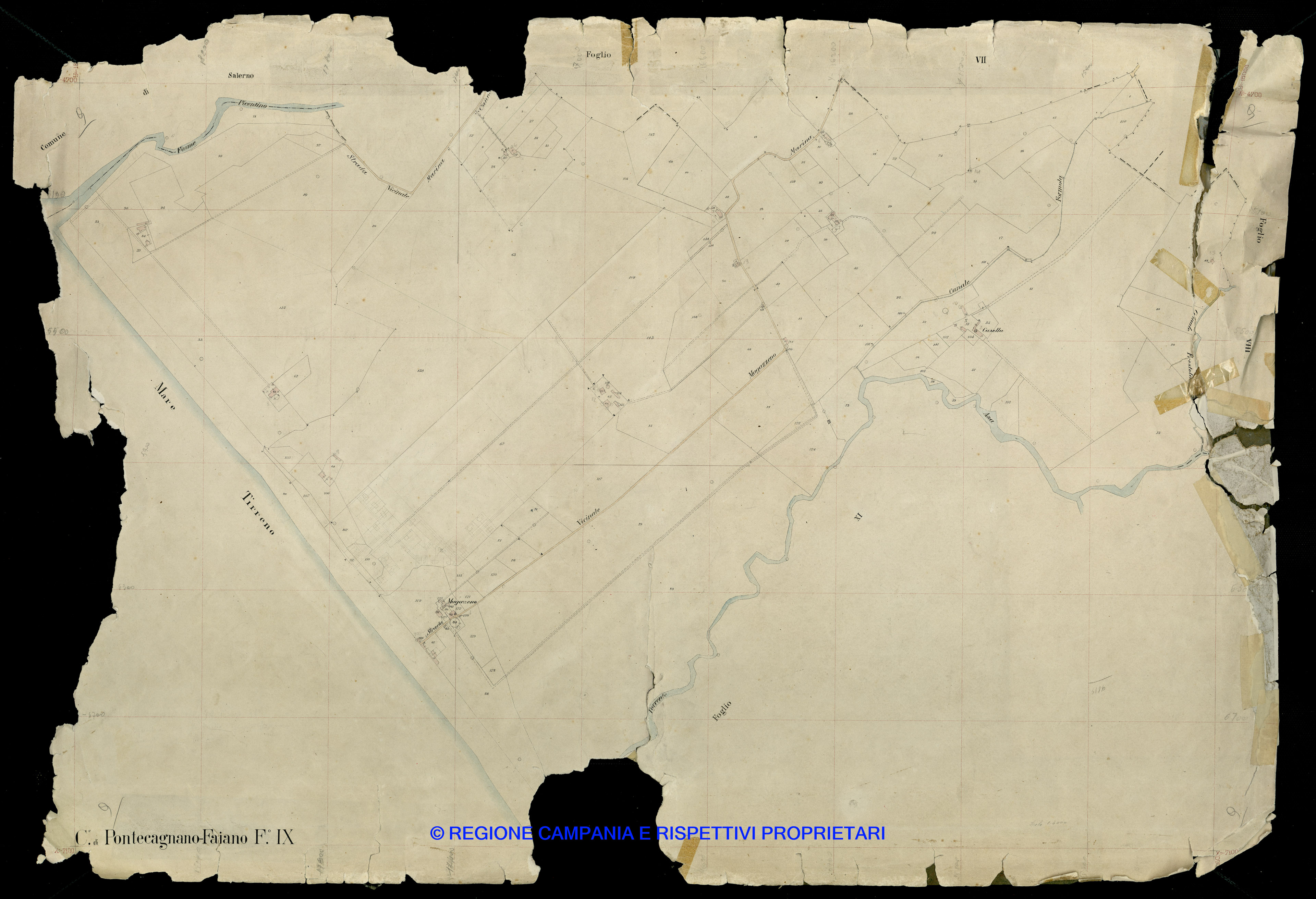 Mappa