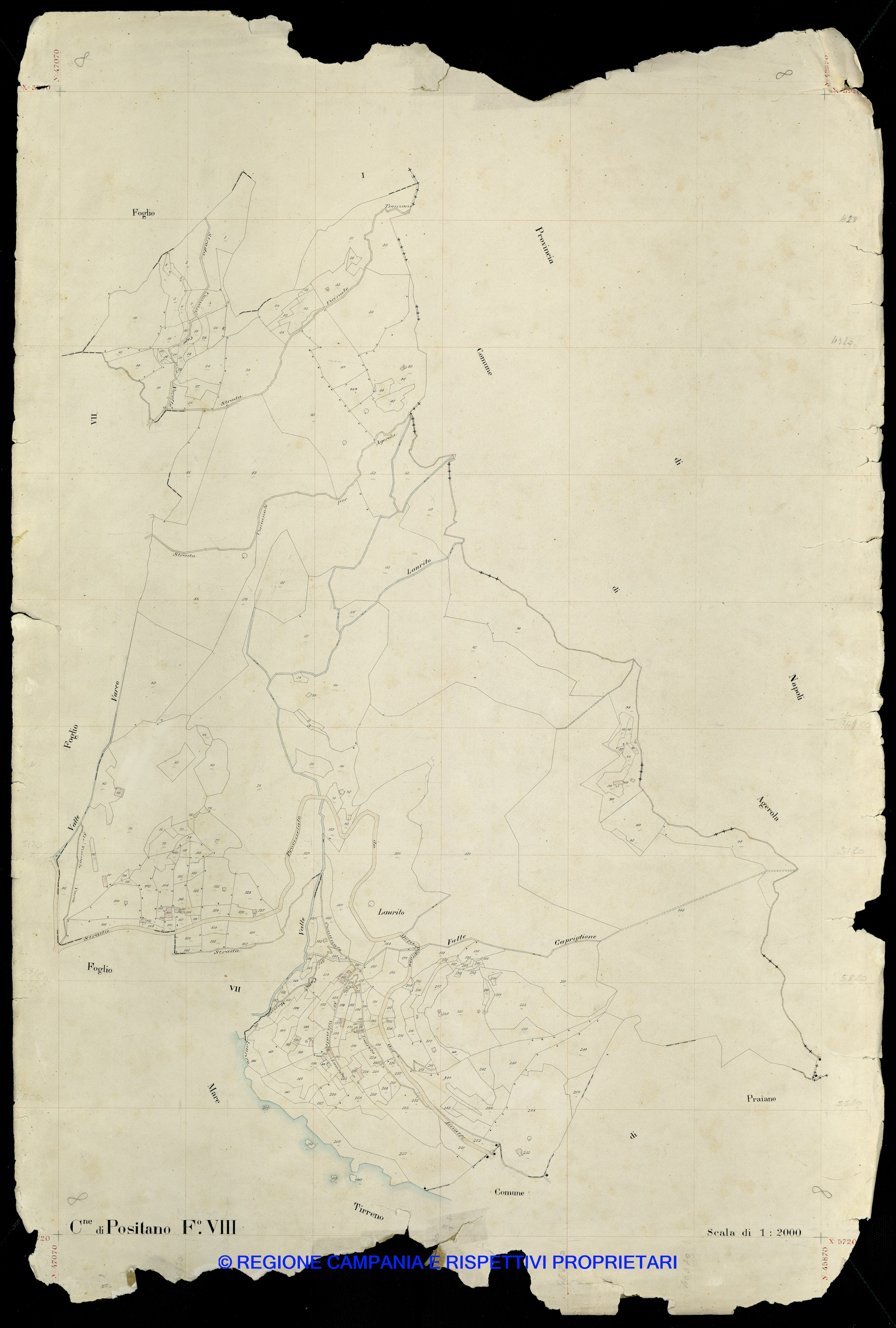 Mappa