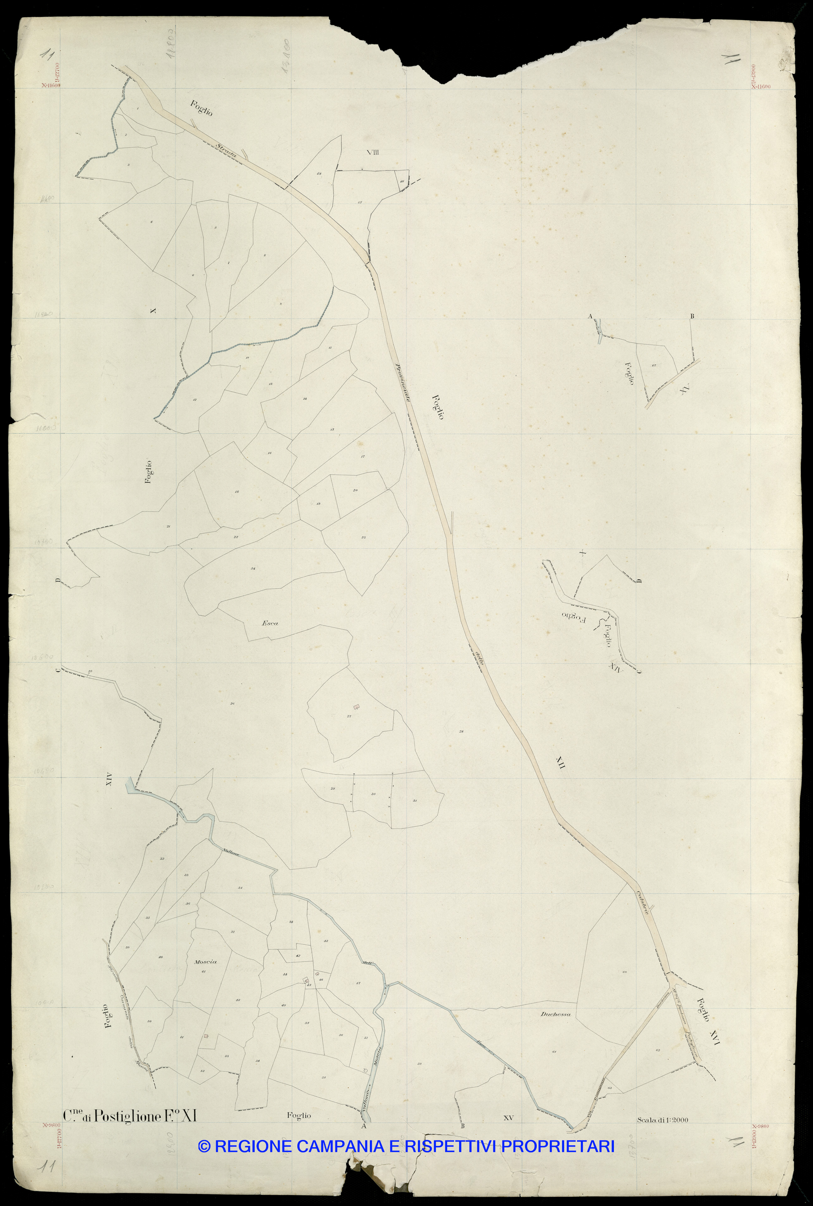 Mappa