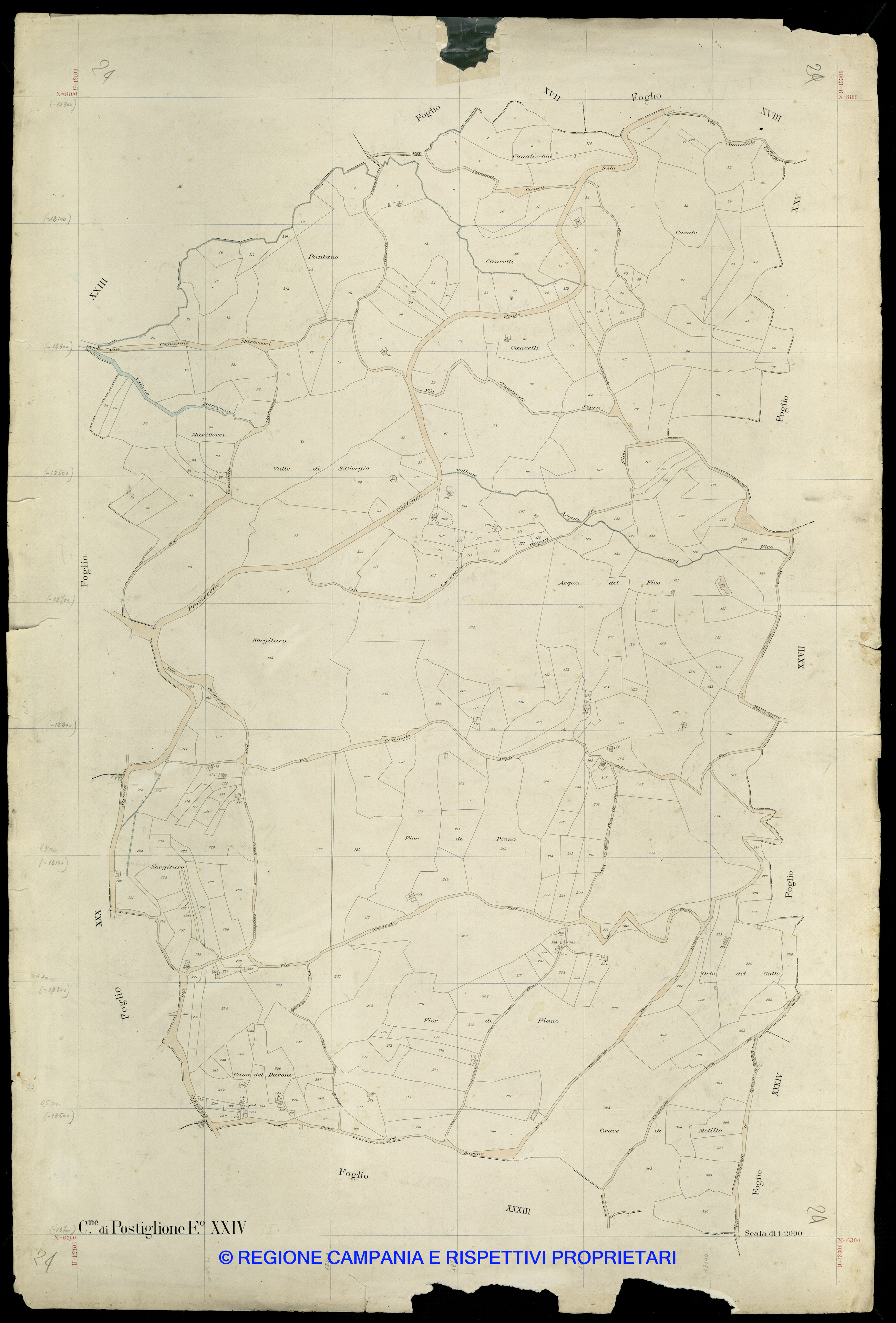 Mappa