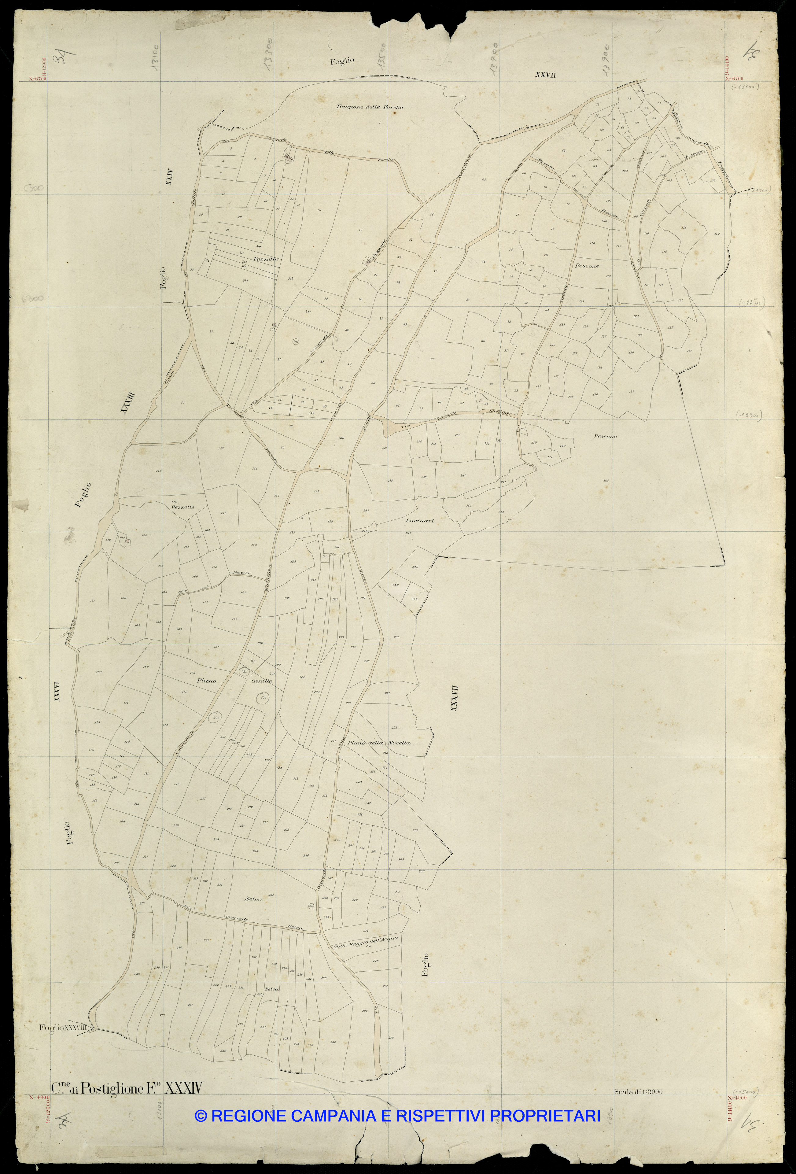 Mappa