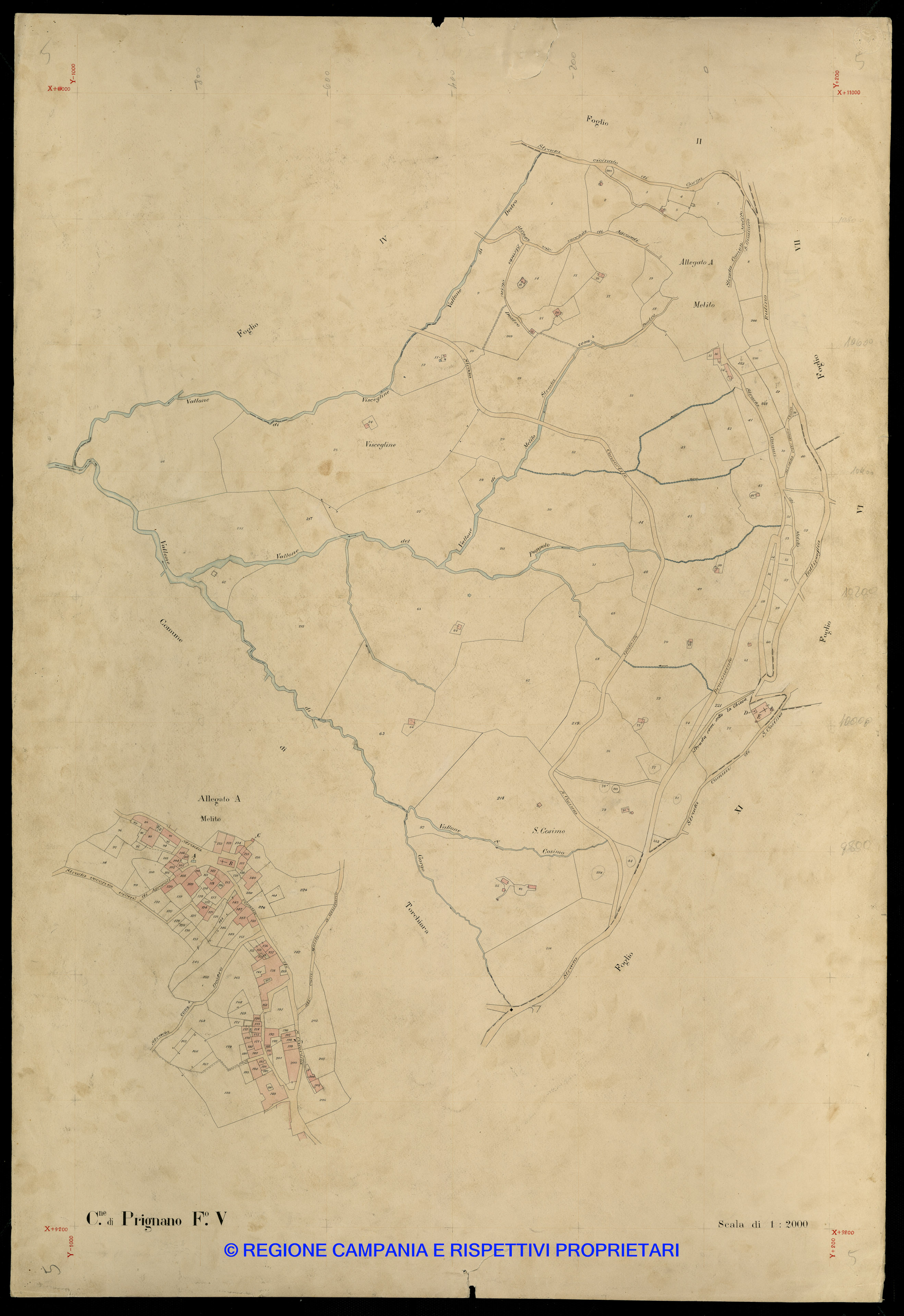Mappa