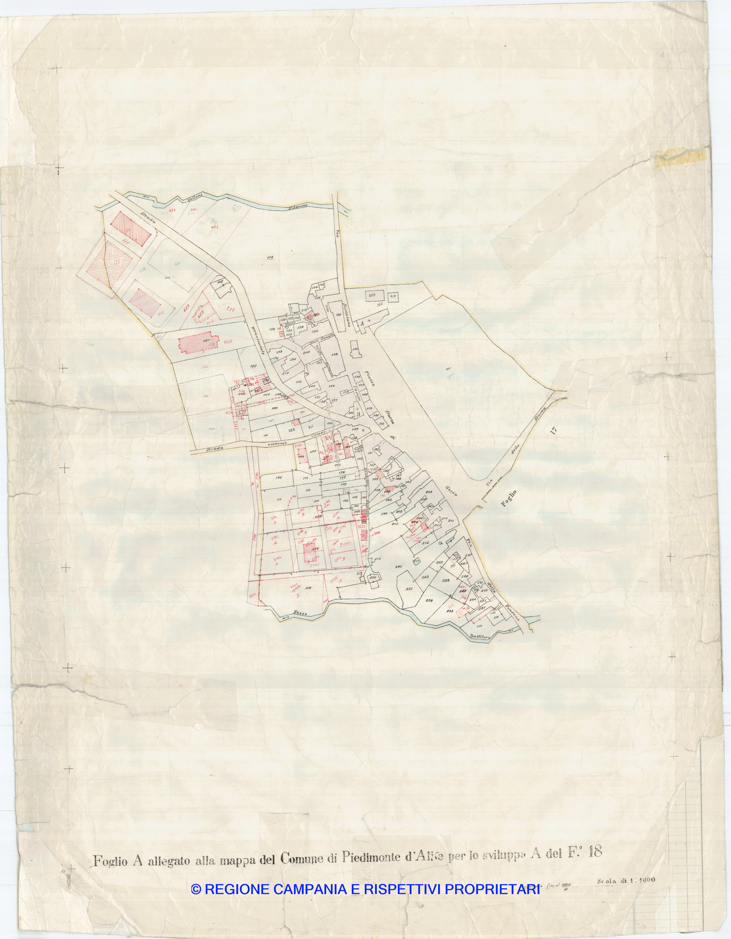 Allegati