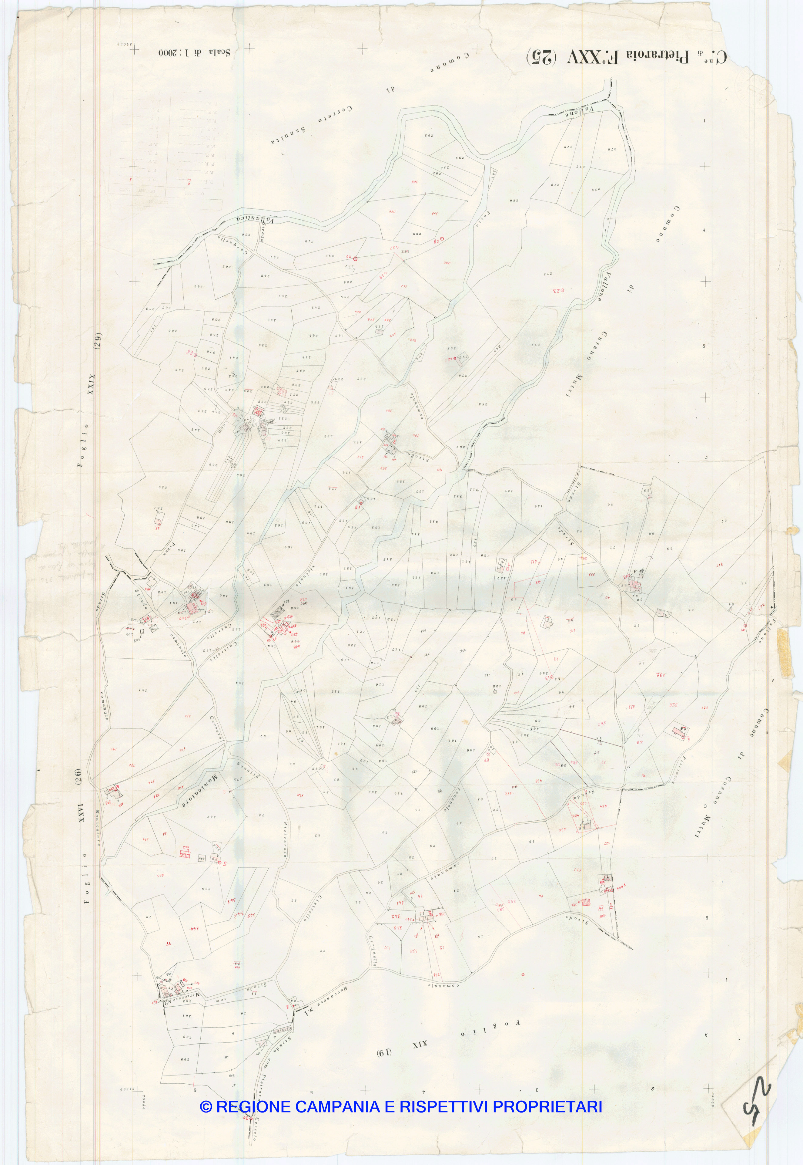 Mappa