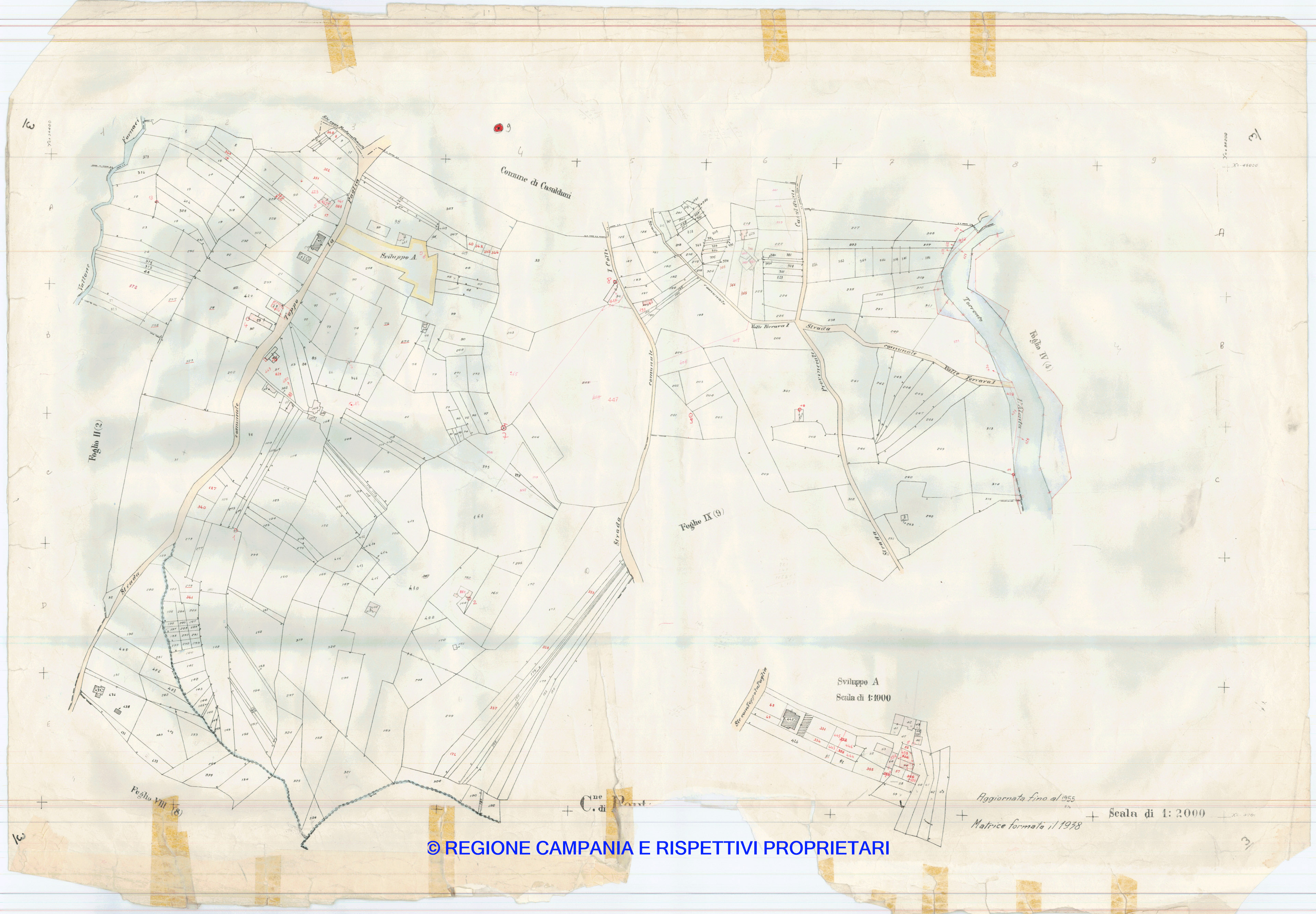 Mappa