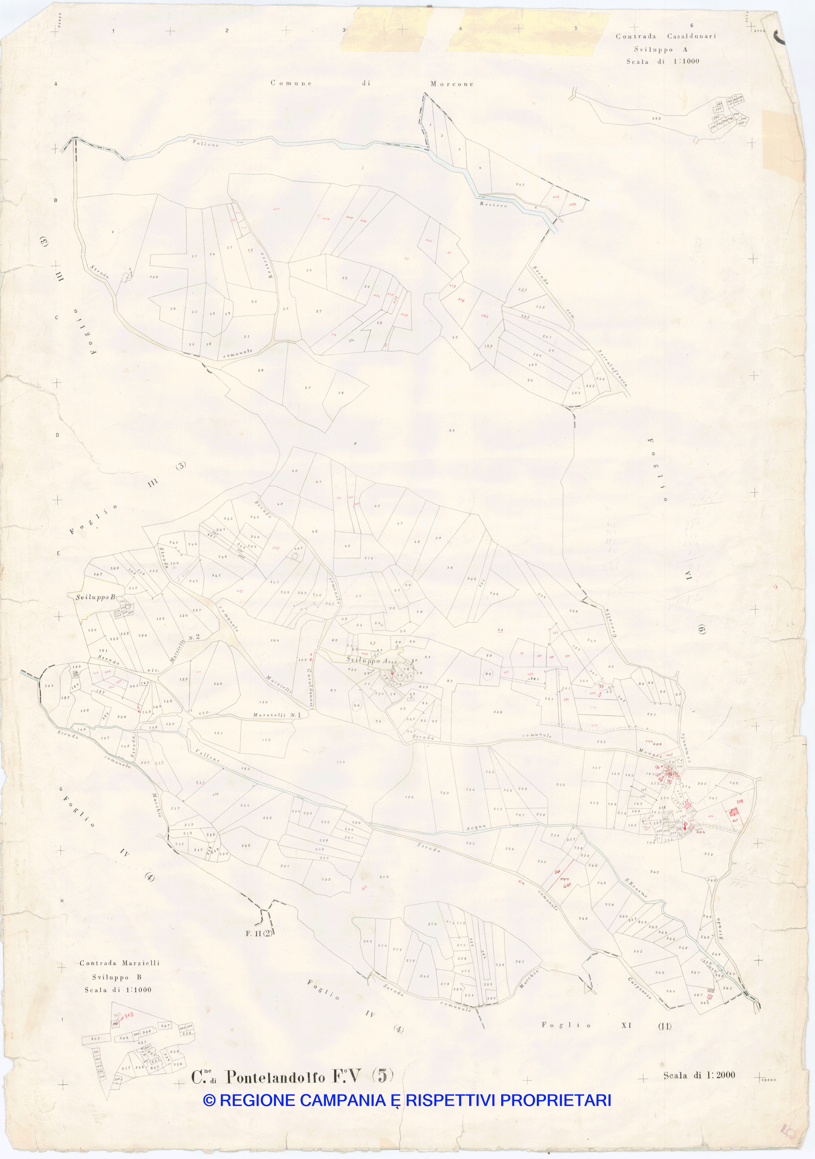 Mappa