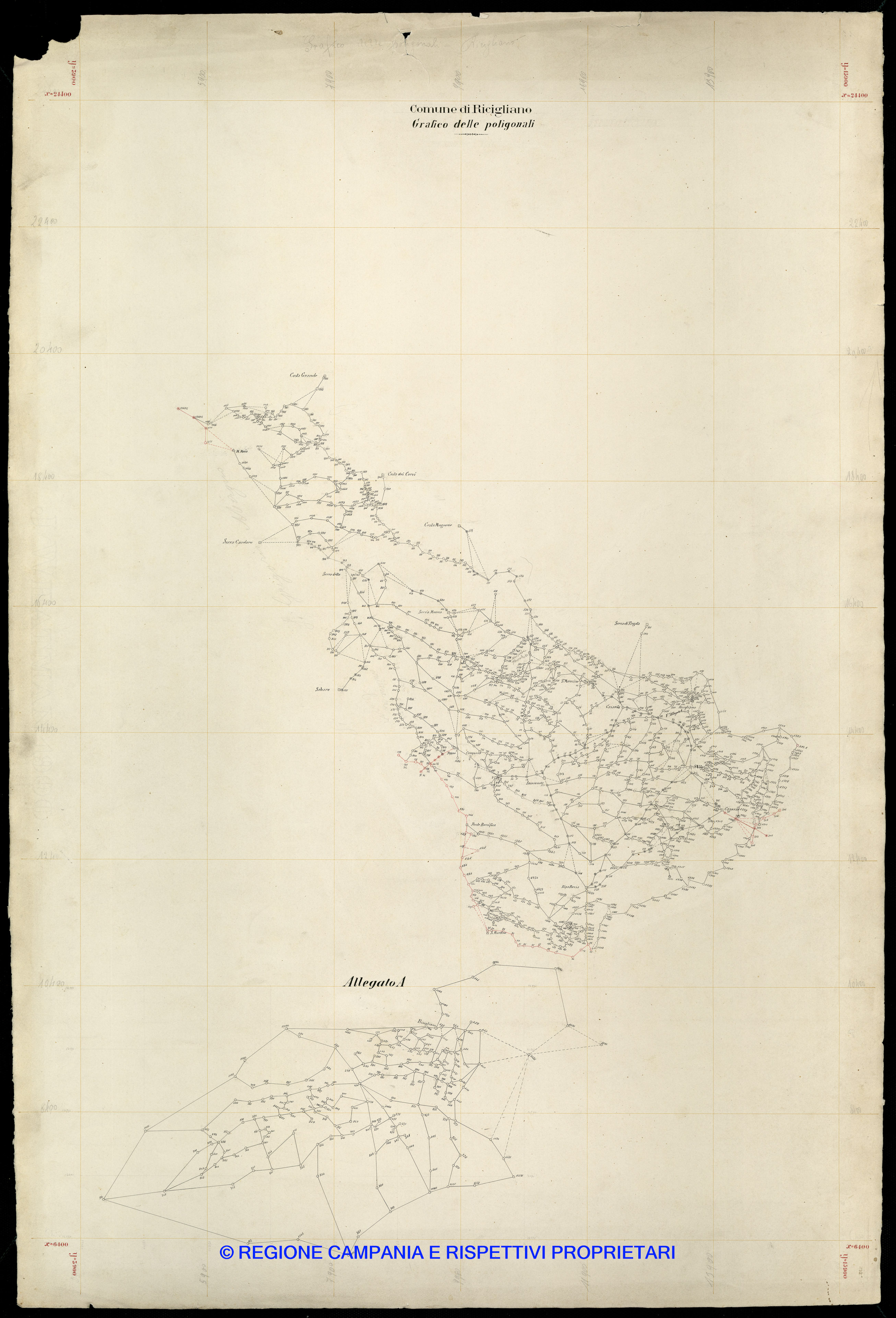Grafico delle Poligonali