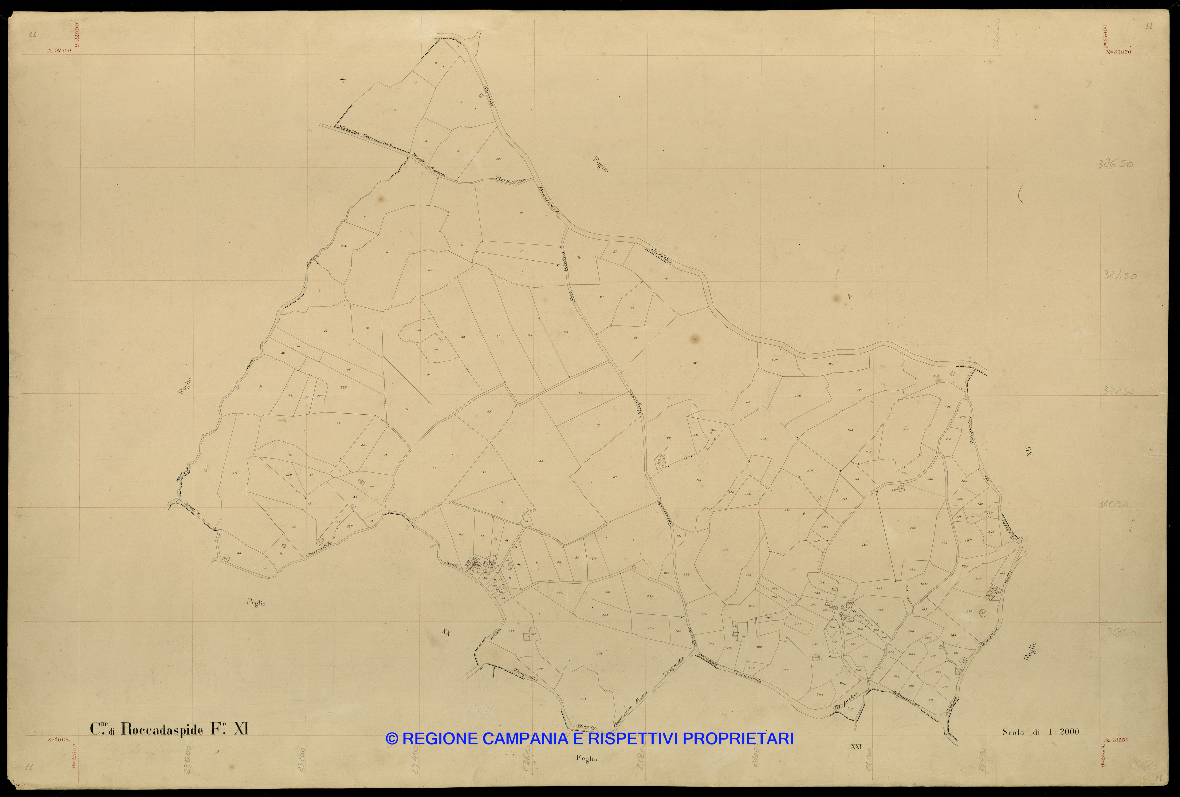 Mappa