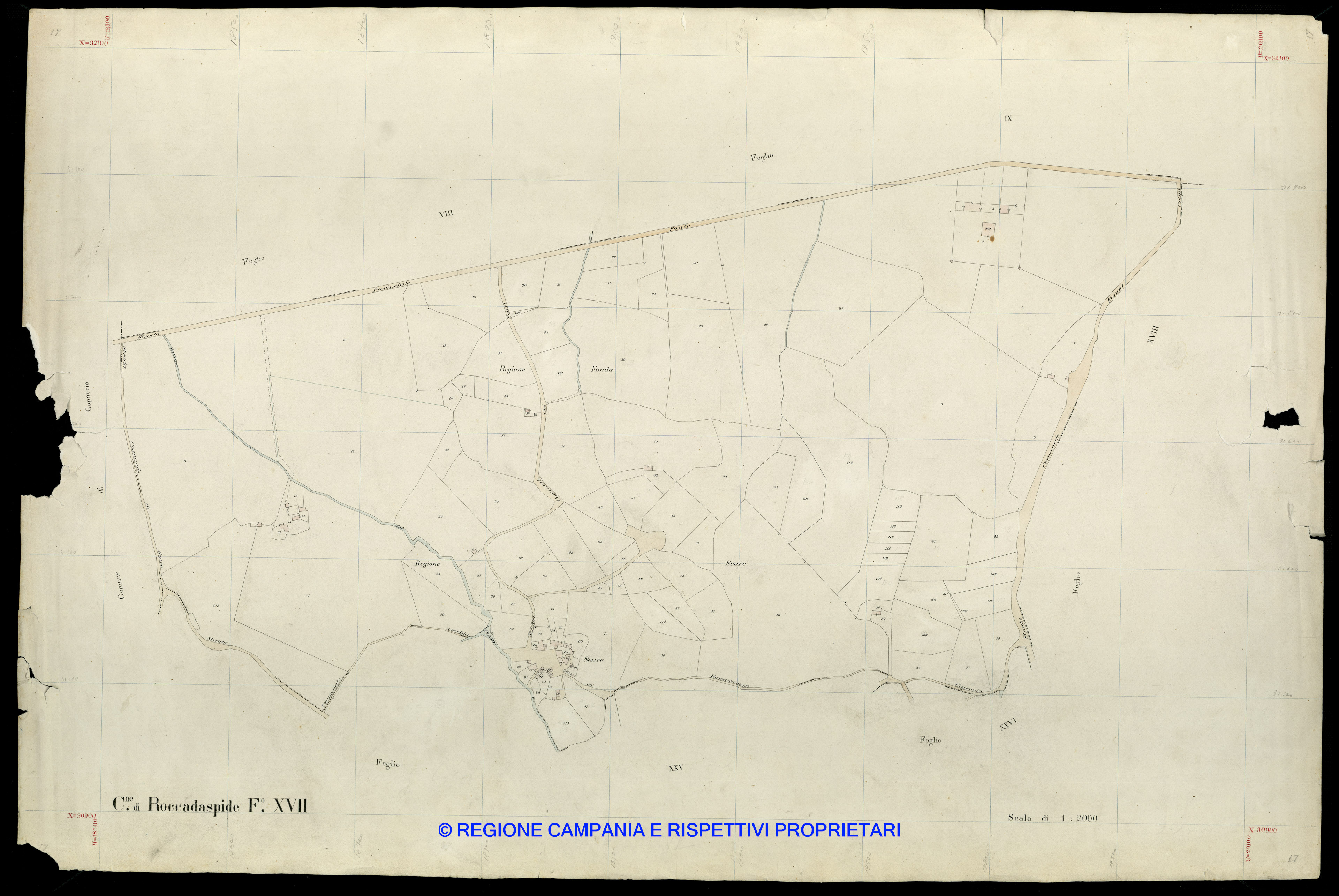 Mappa