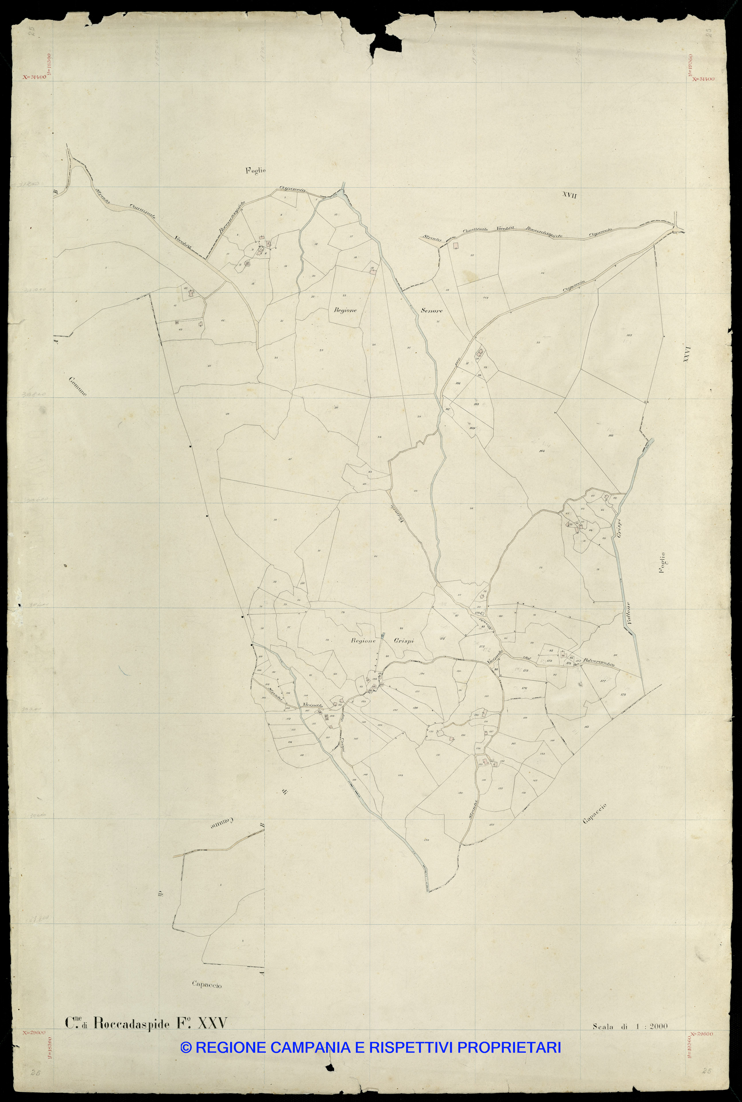 Mappa