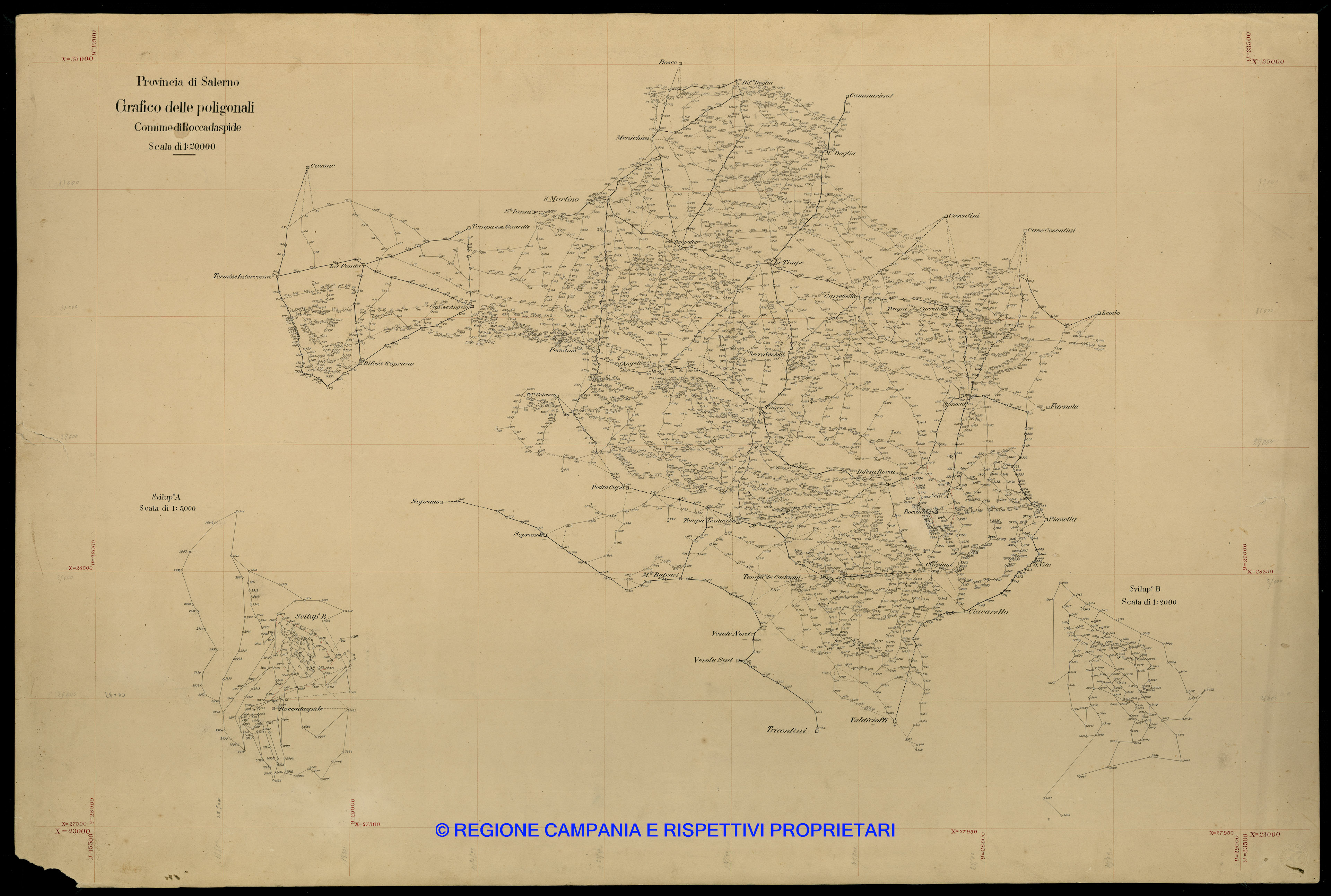 Grafico delle Poligonali