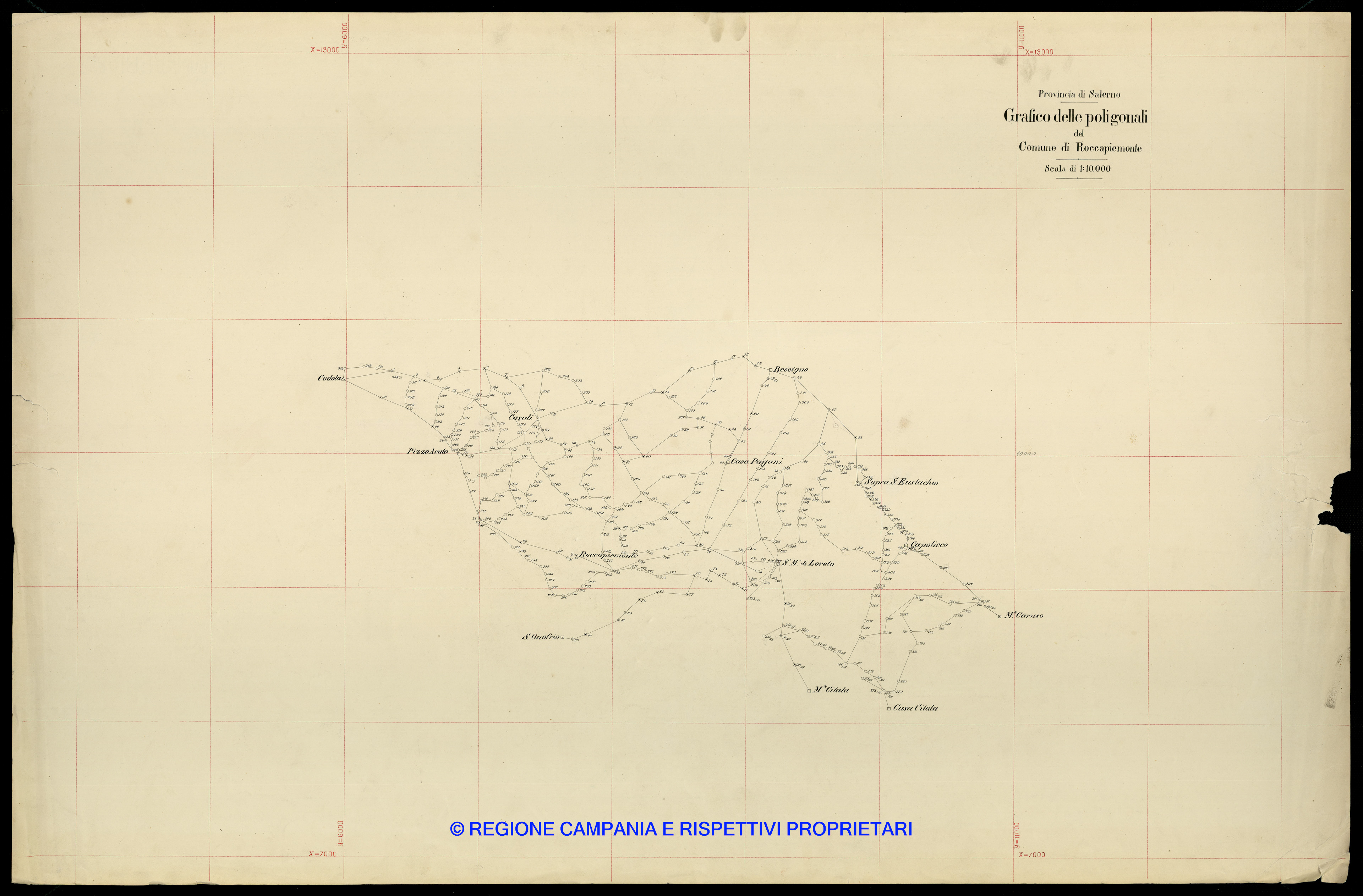 Grafico delle Poligonali