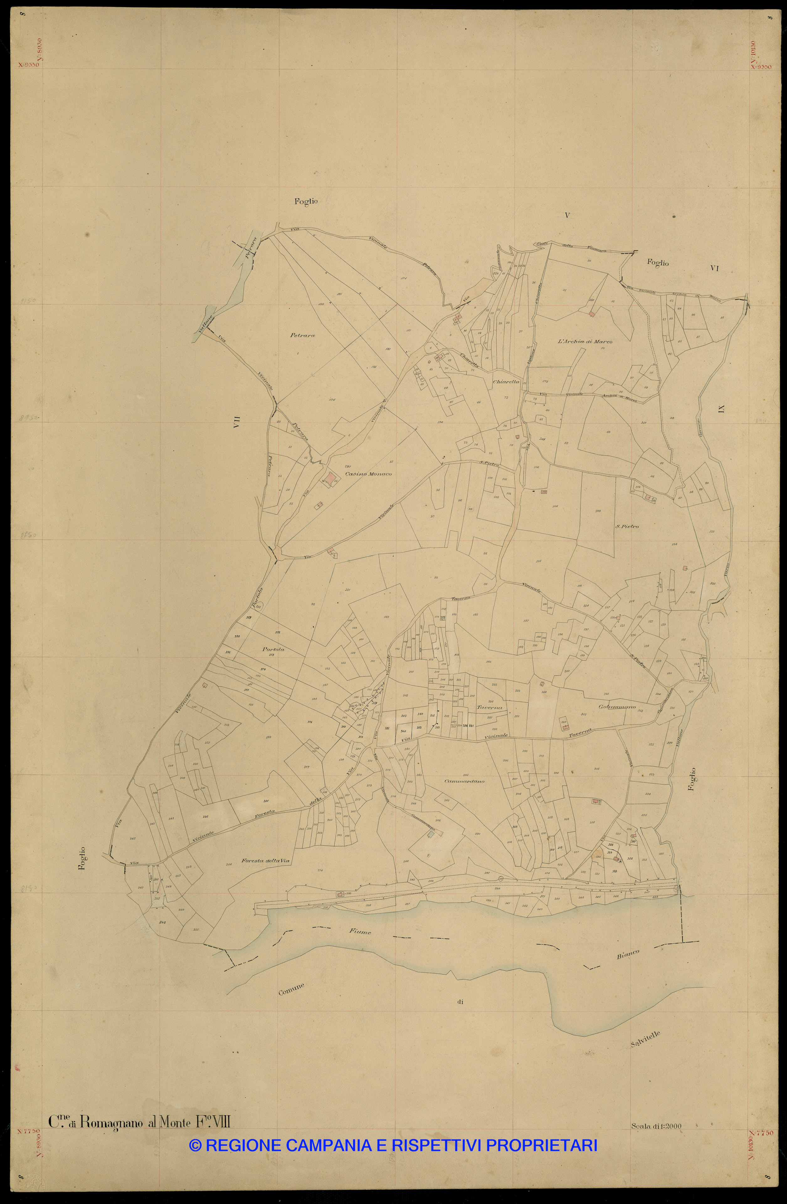 Mappa