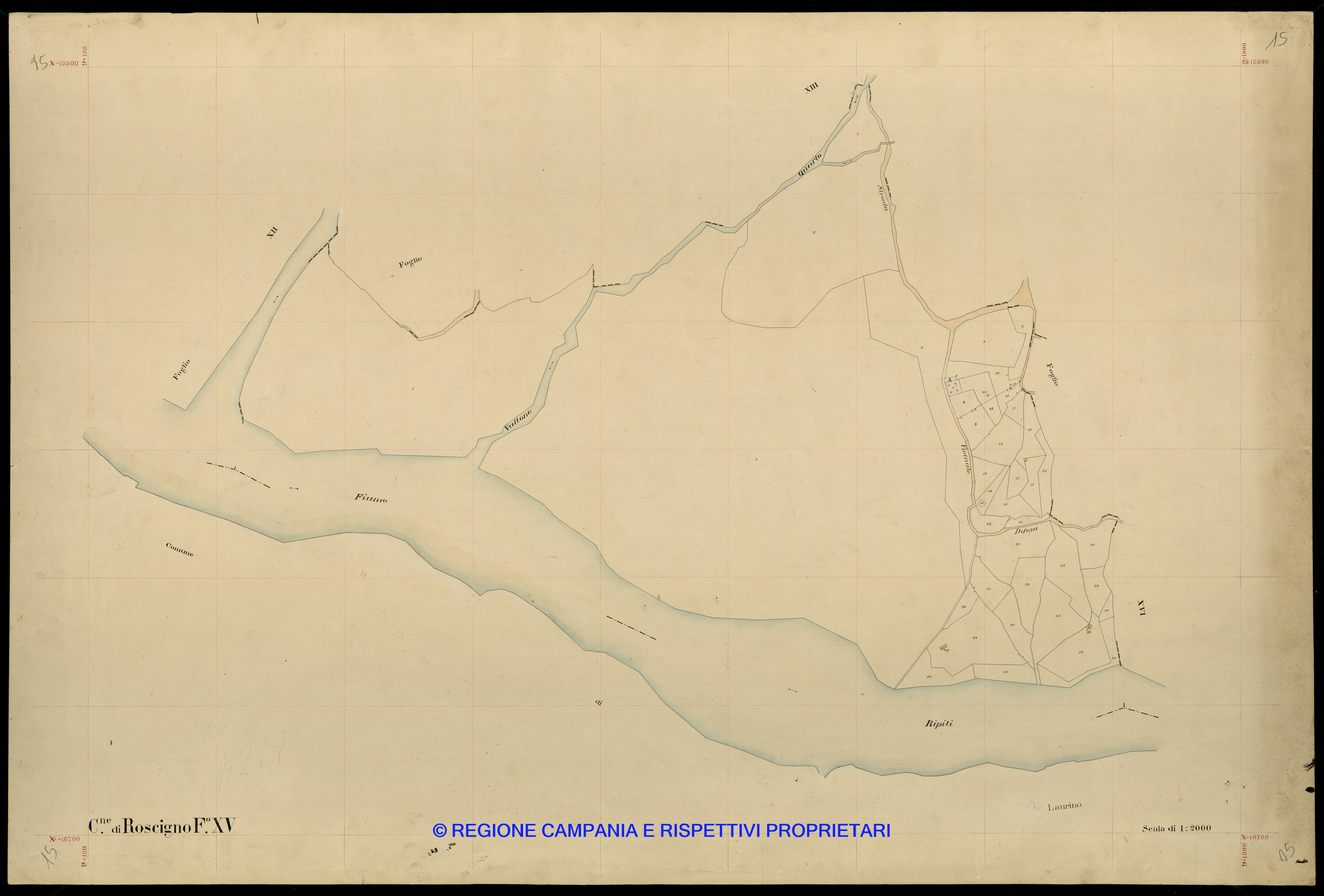 Mappa