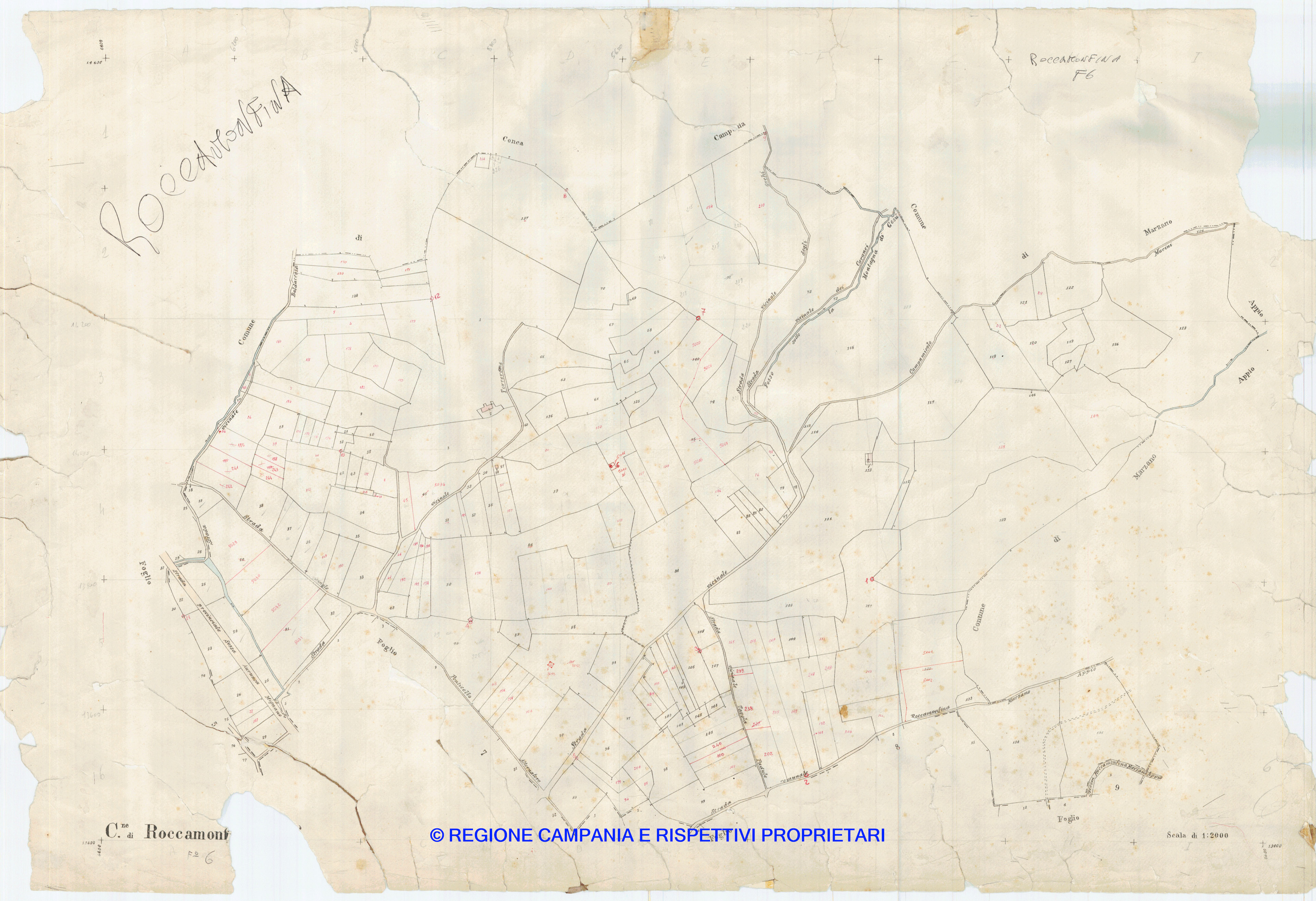 Mappa