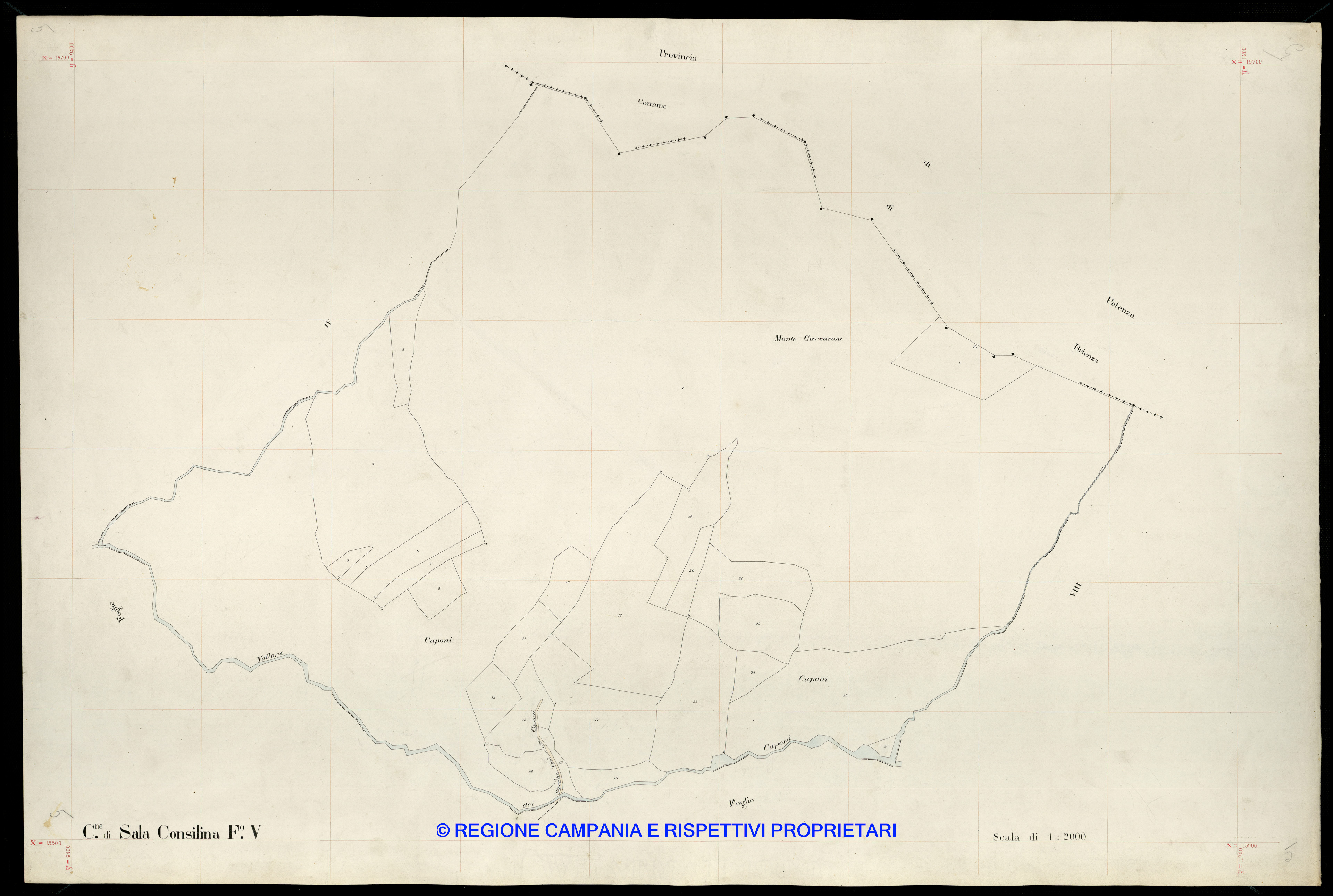 Mappa