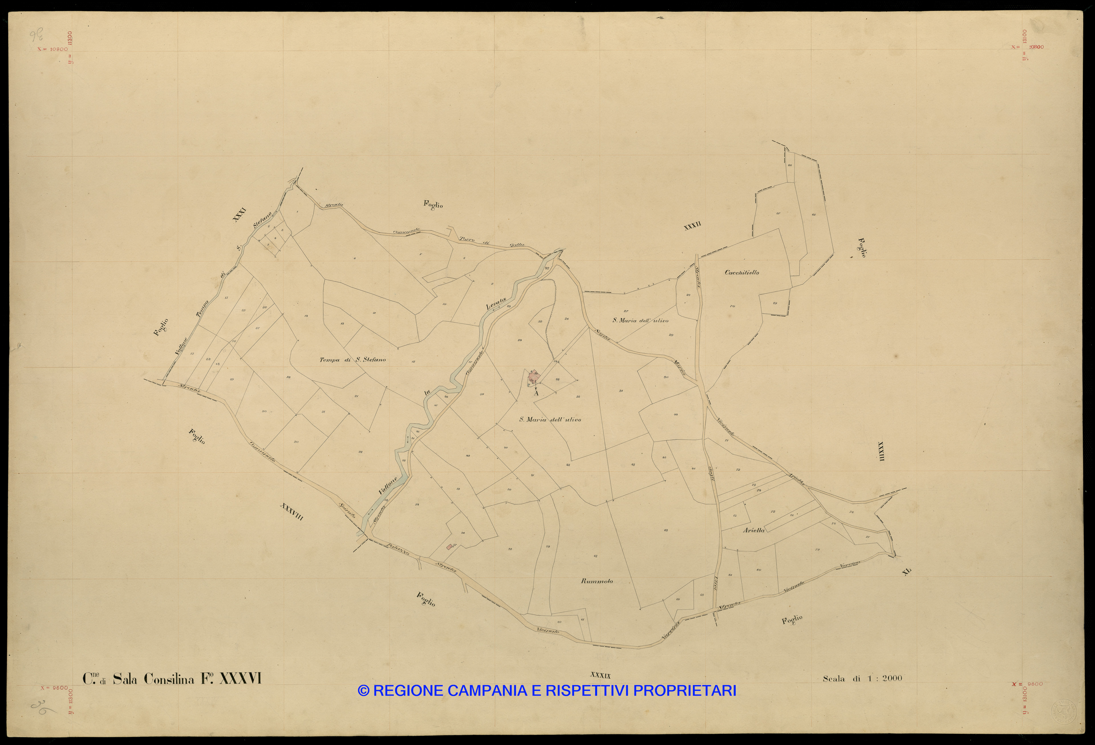 Mappa