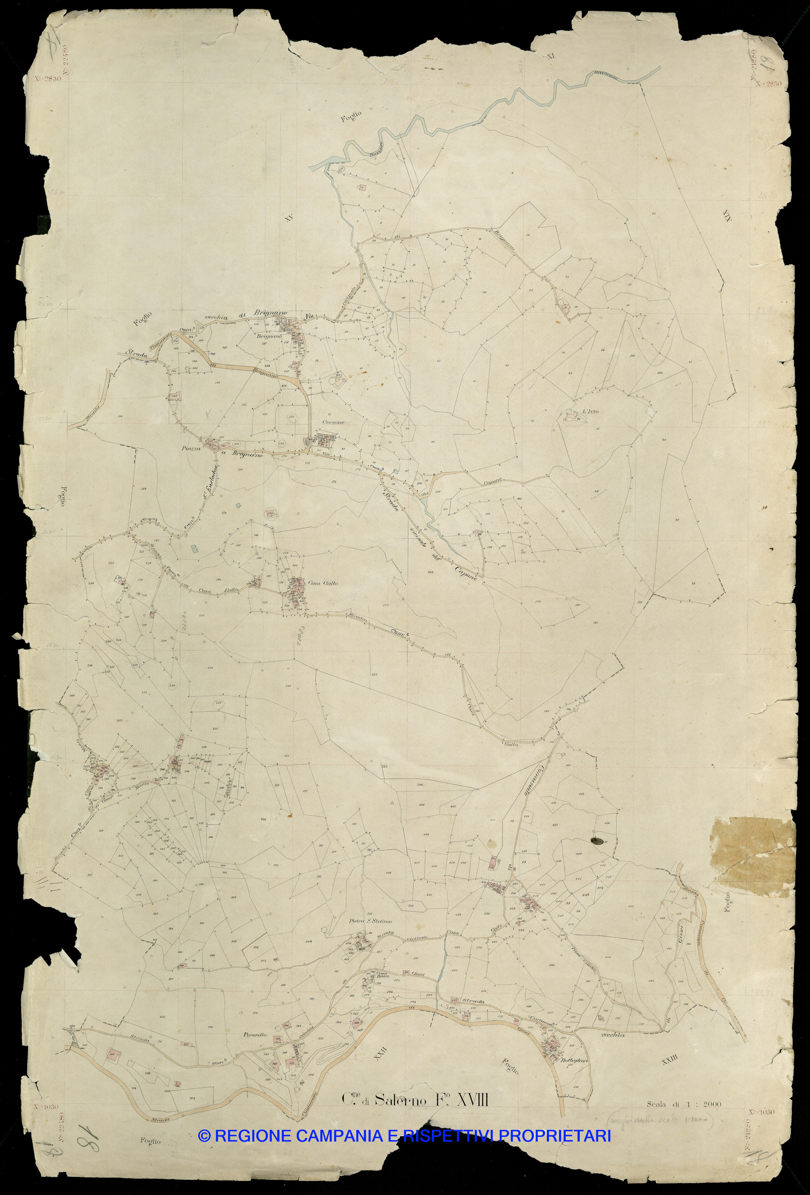 Mappa