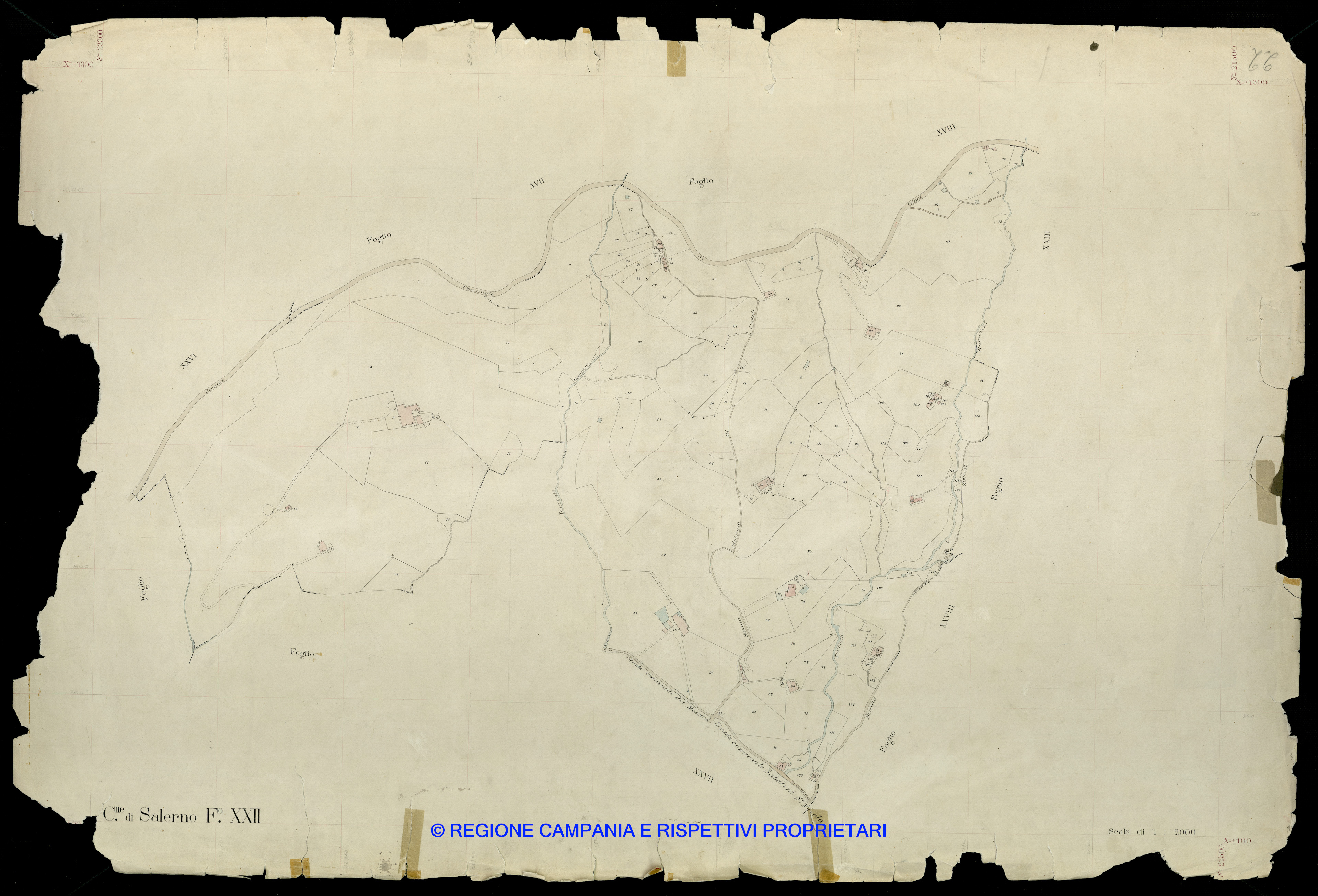 Mappa Mappa