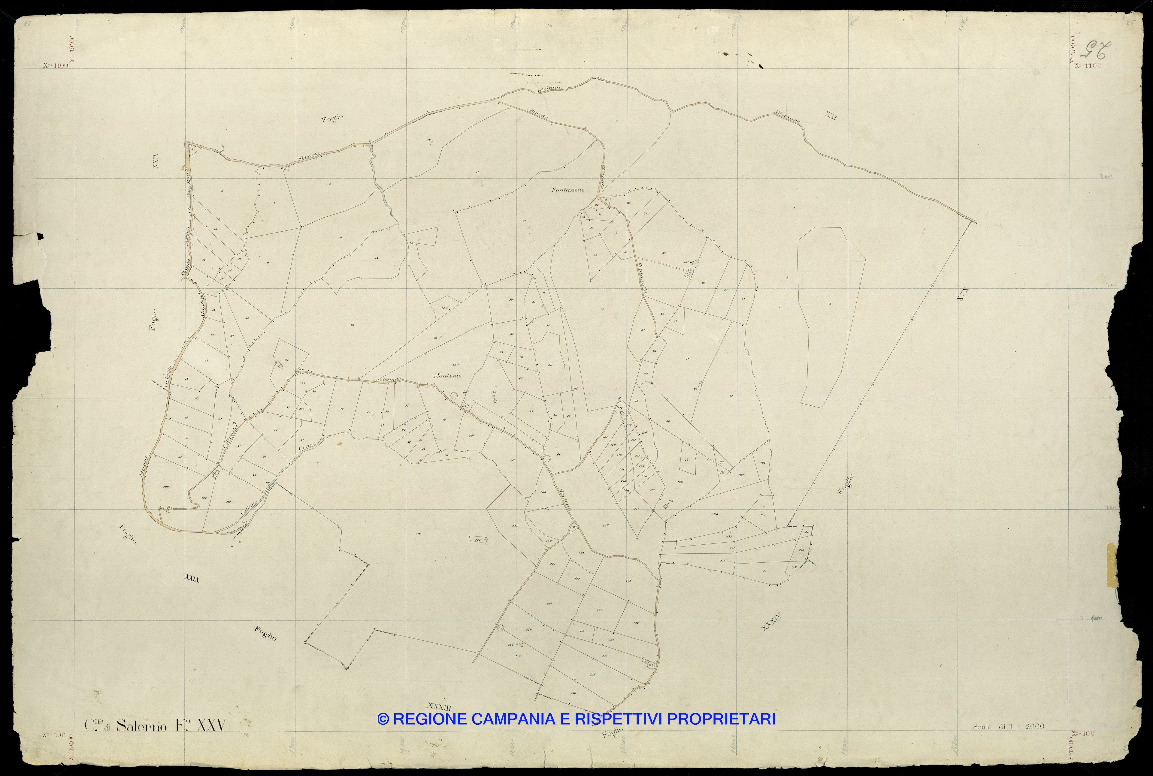 Mappa