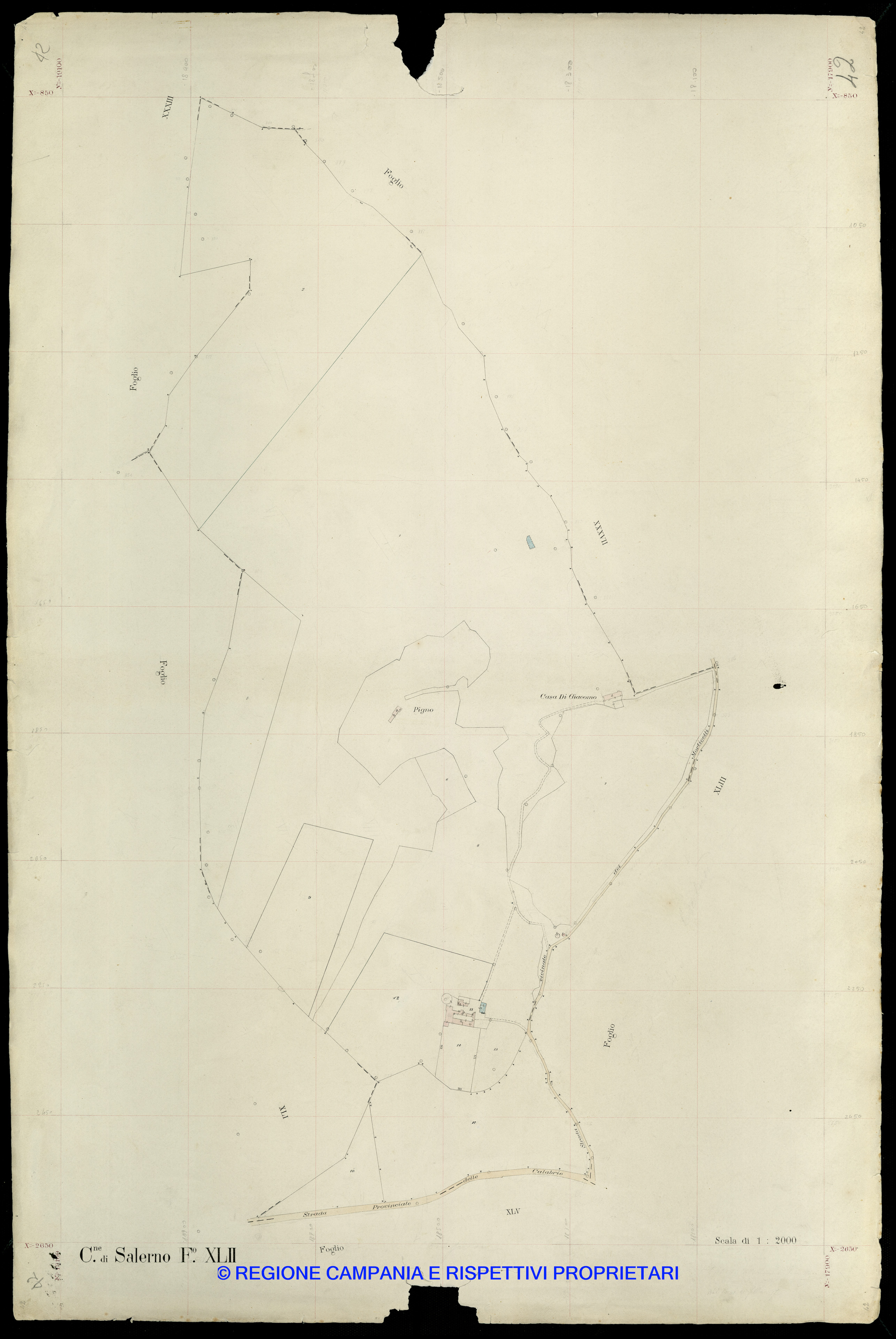 Mappa