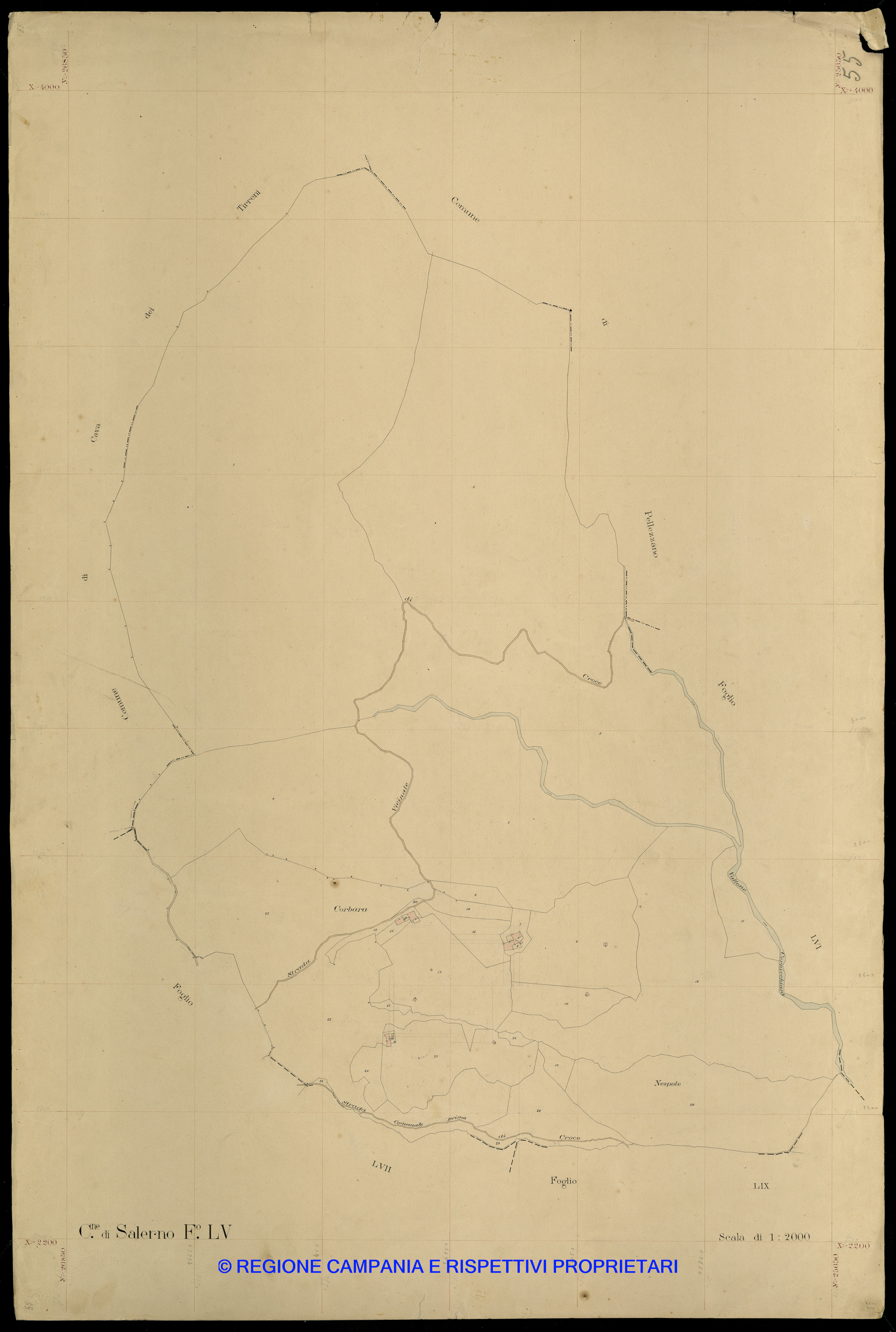 Mappa
