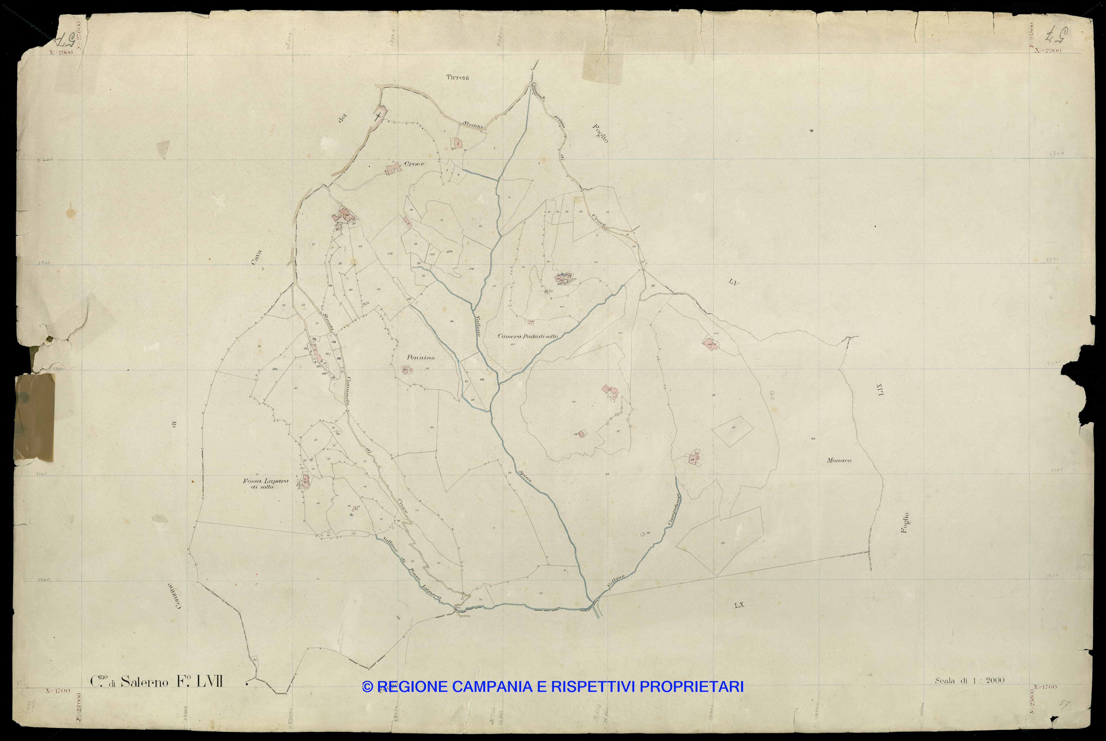 Mappa