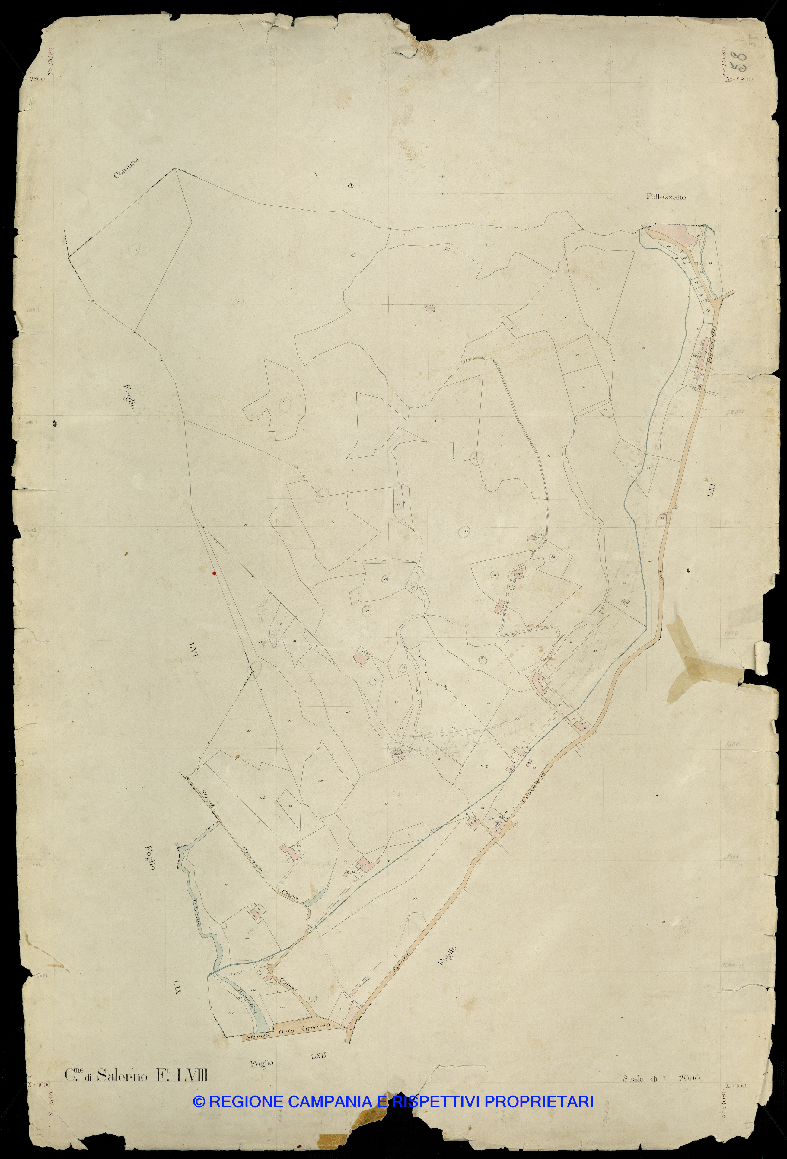 Mappa
