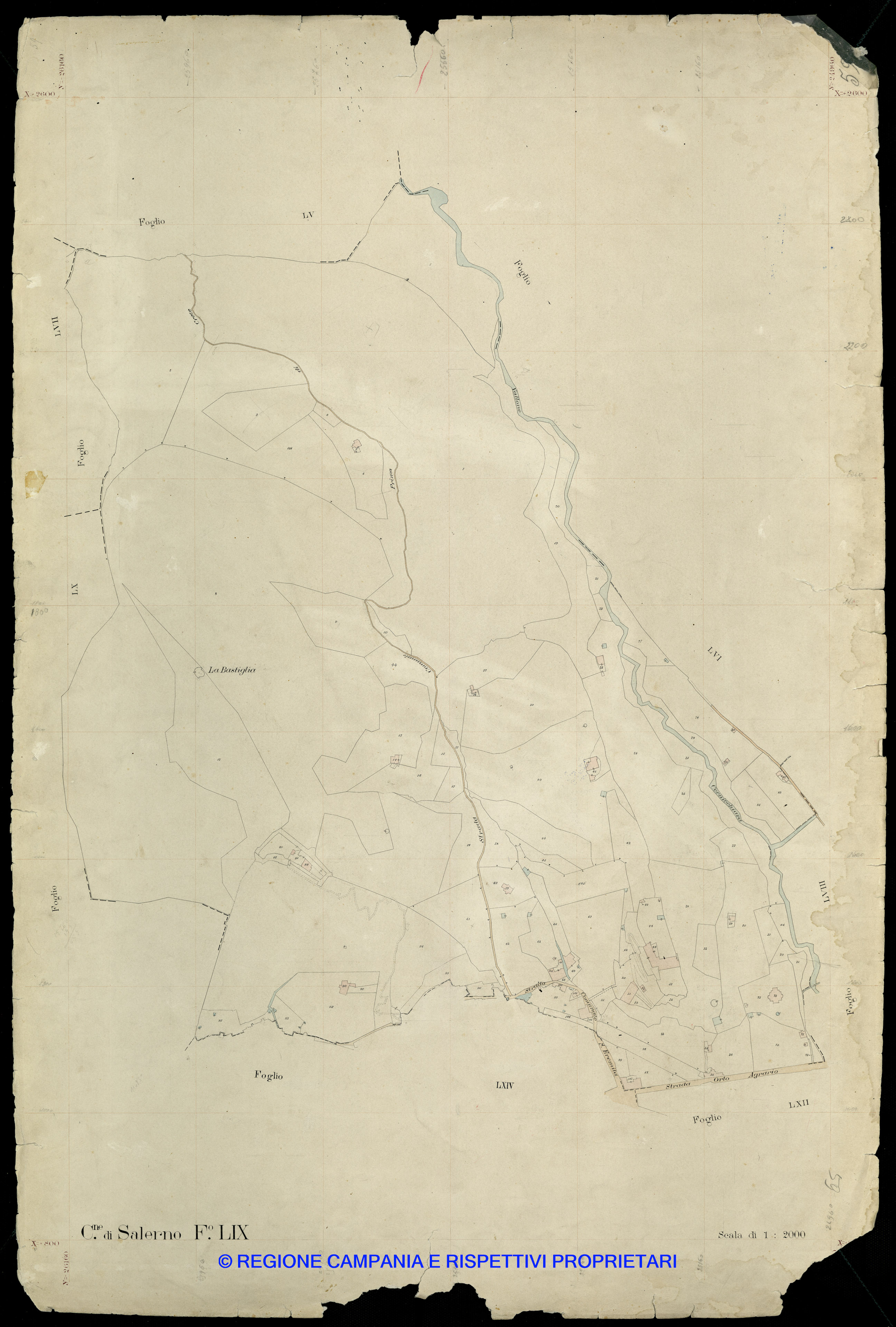 Mappa