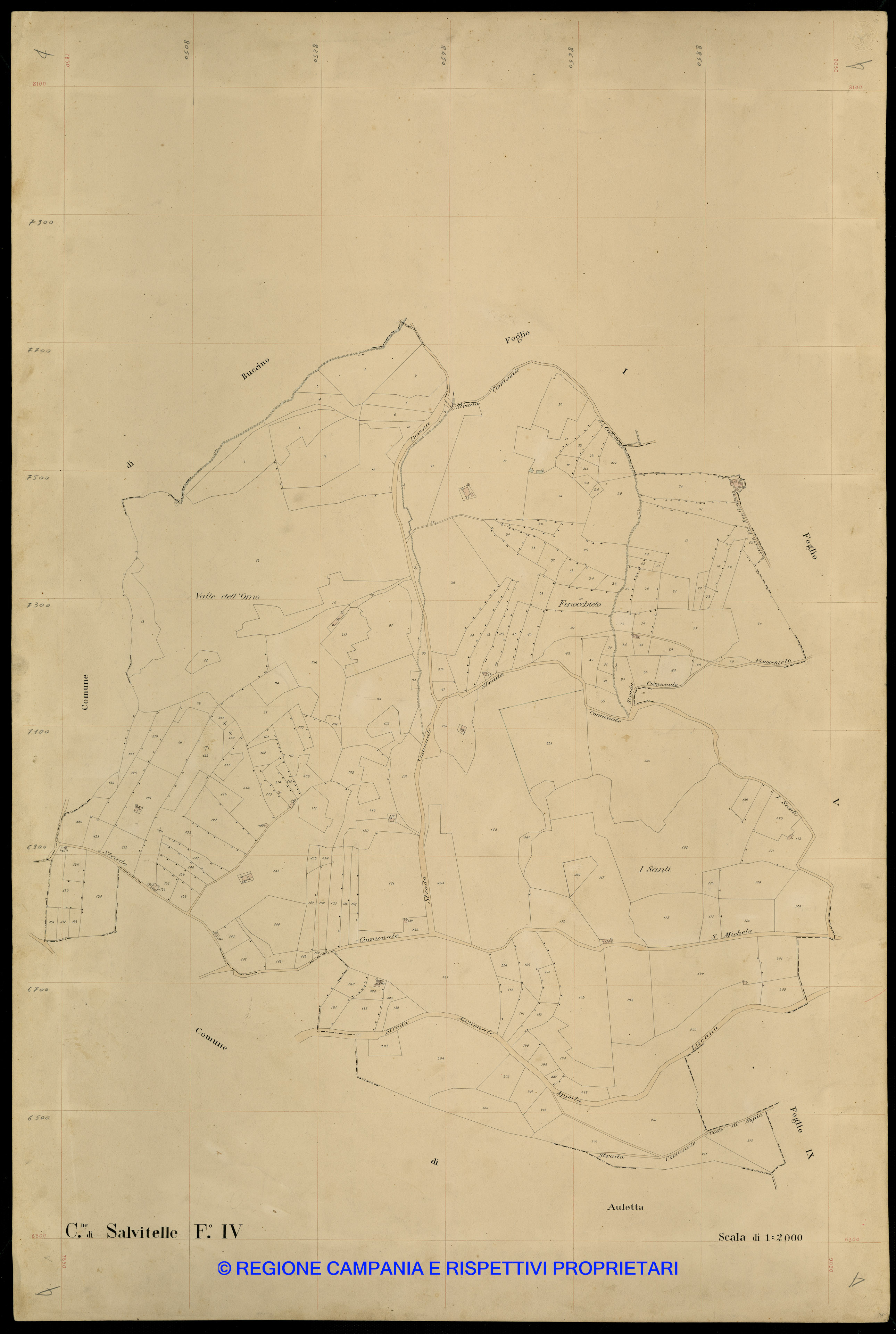 Mappa