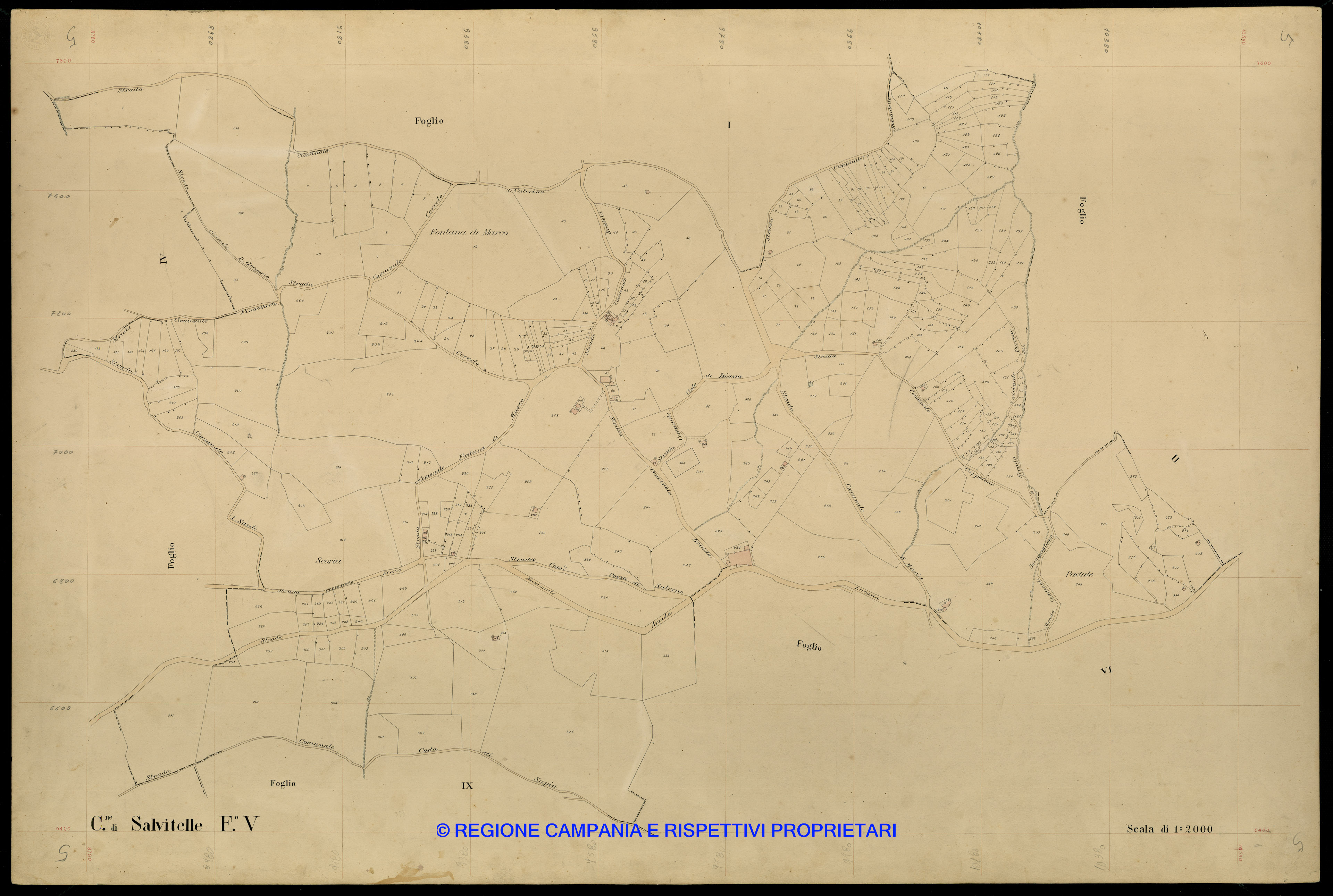 Mappa