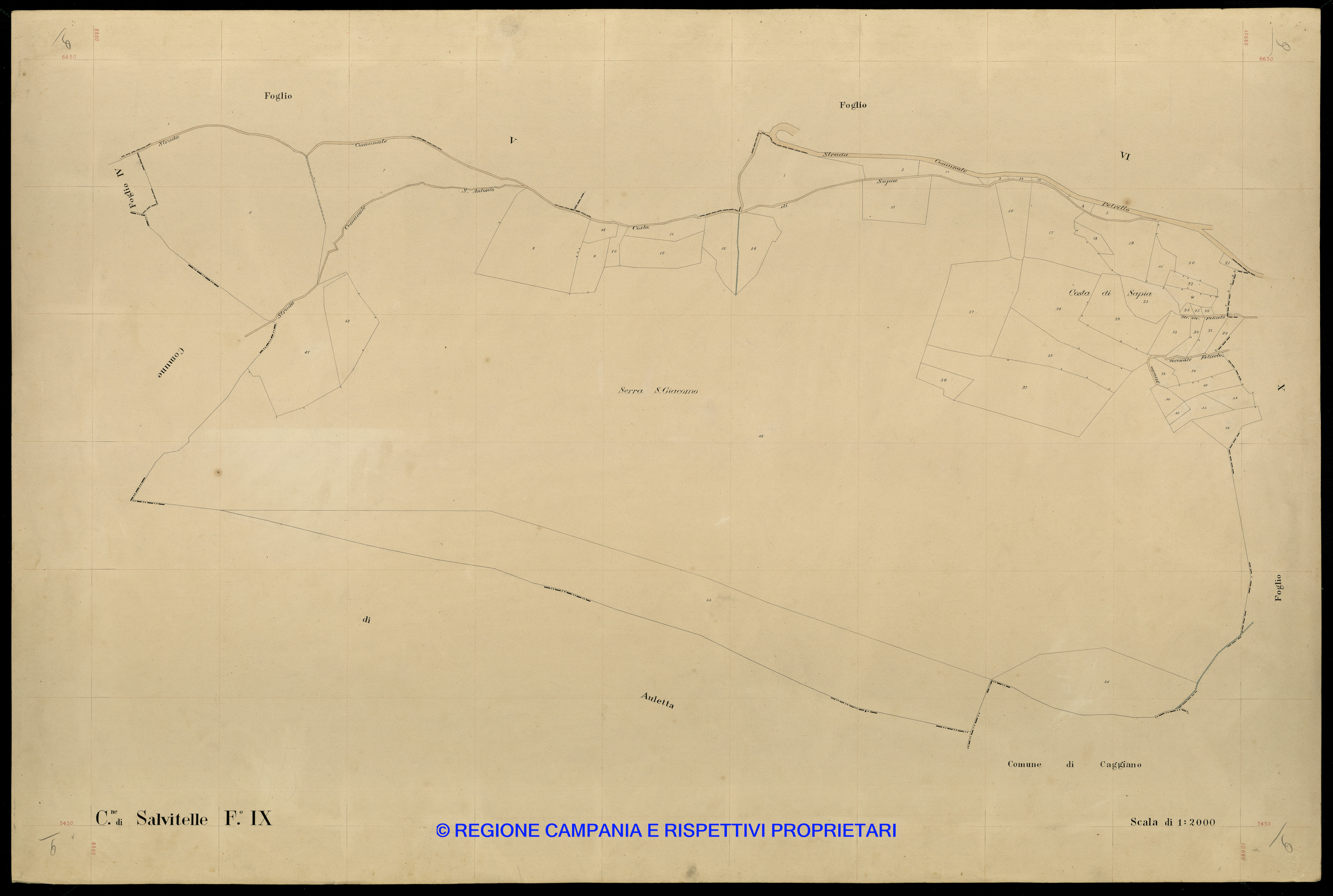 Mappa