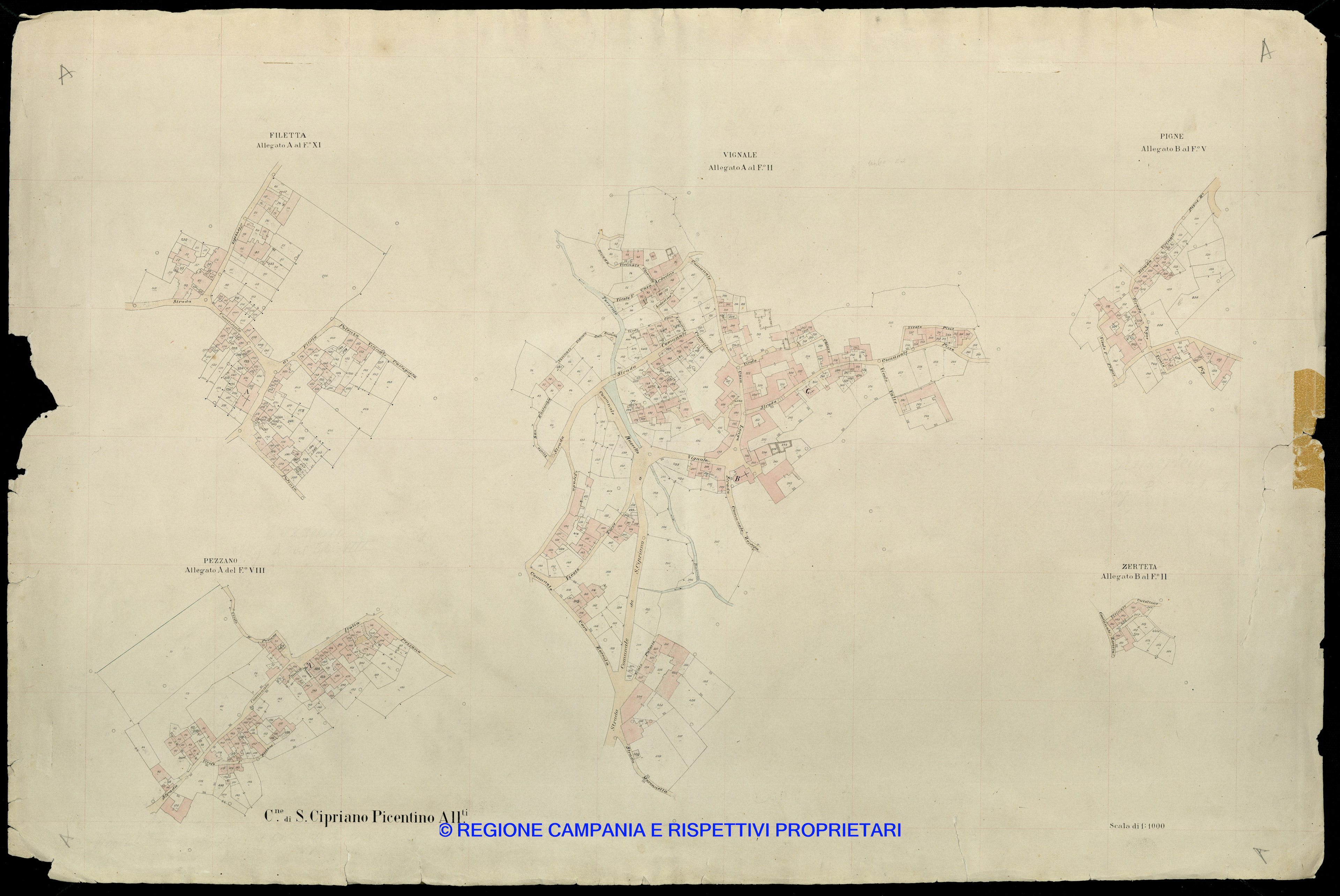 Mappa