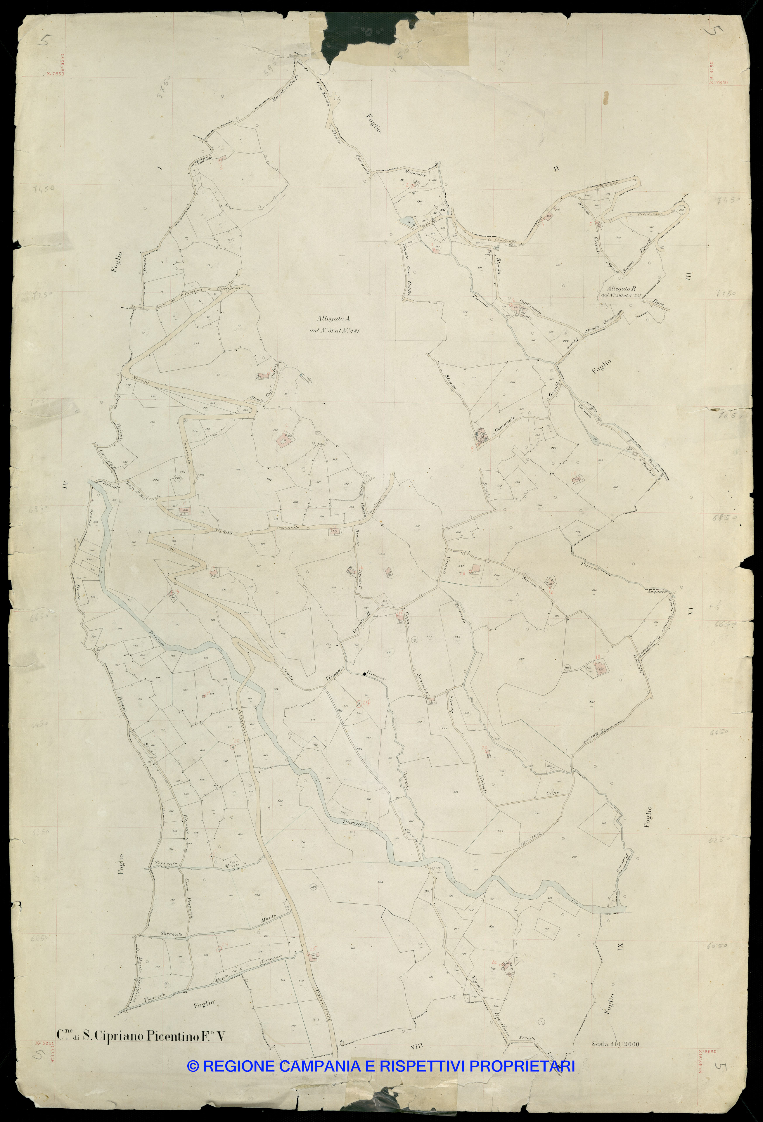 Mappa