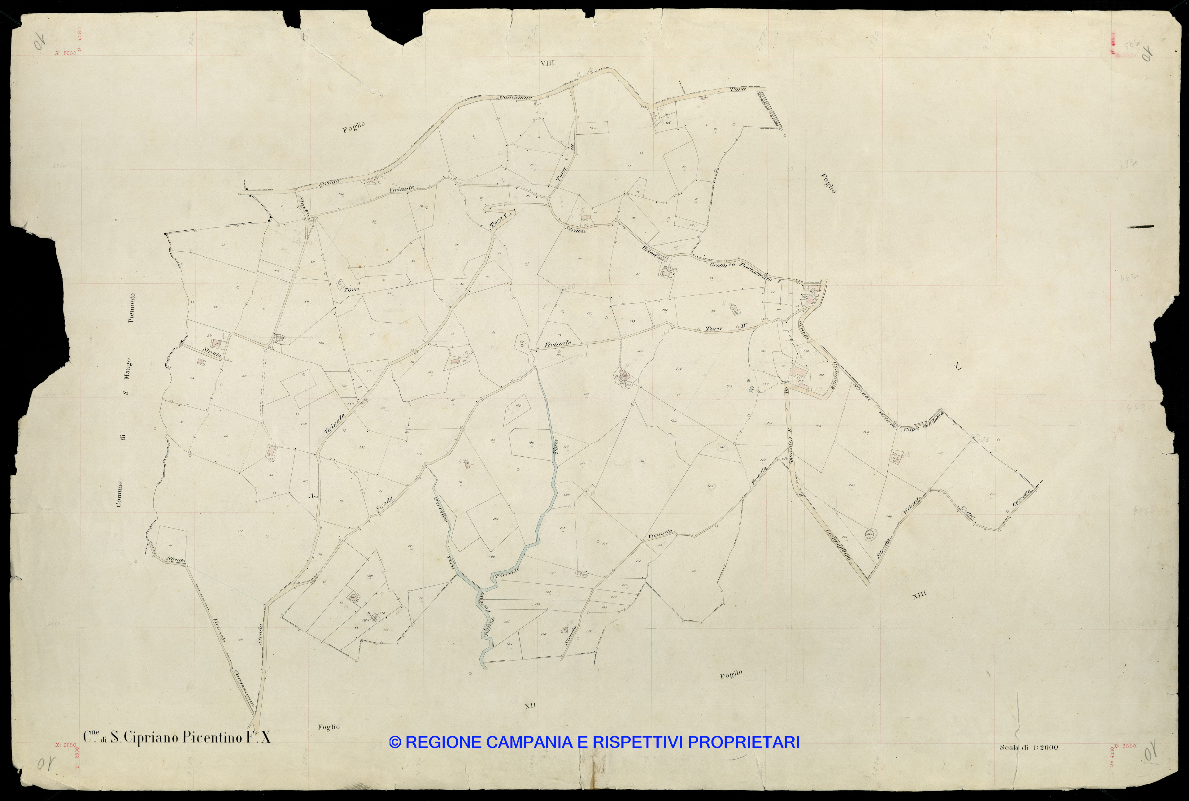 Mappa