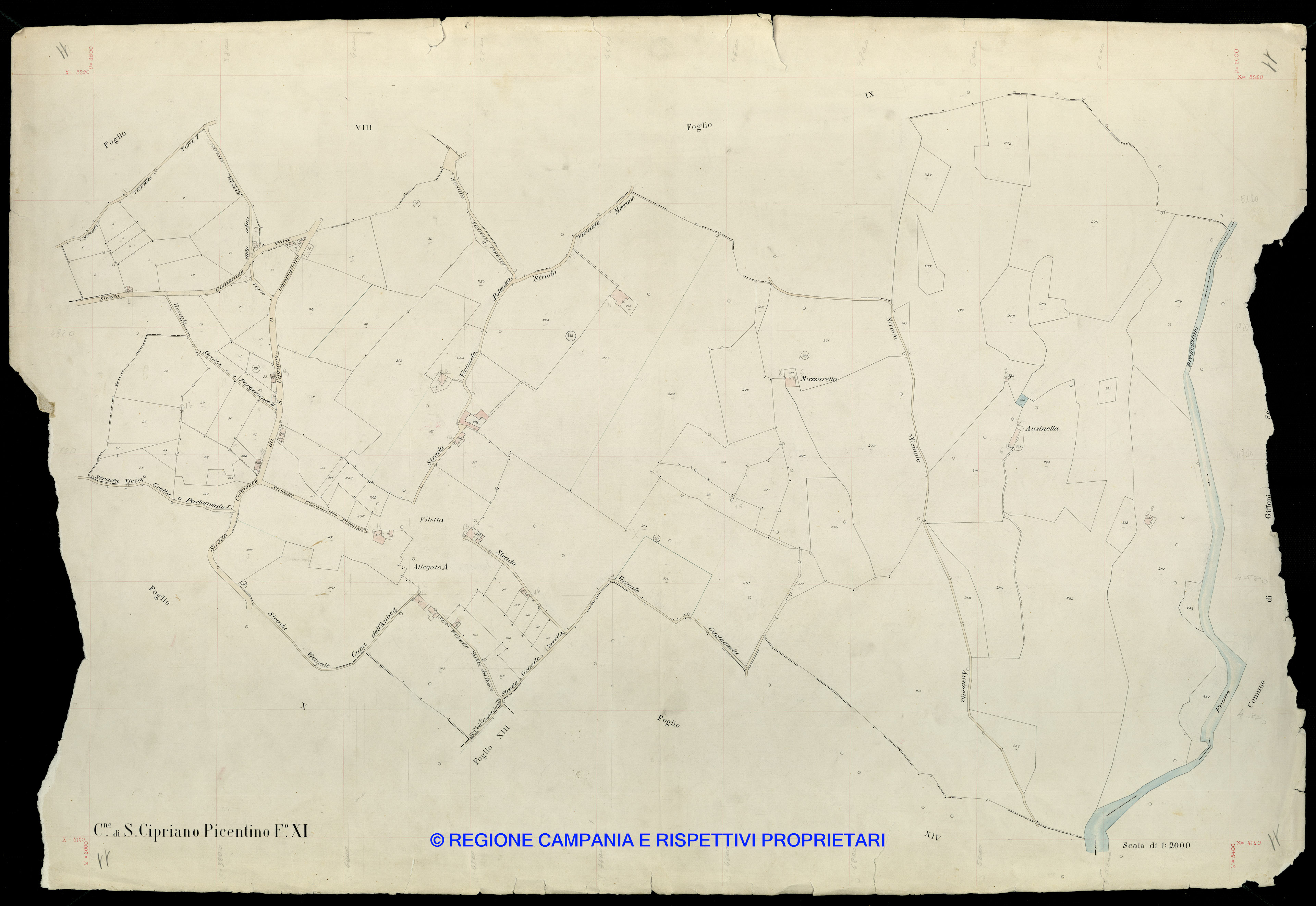 Mappa
