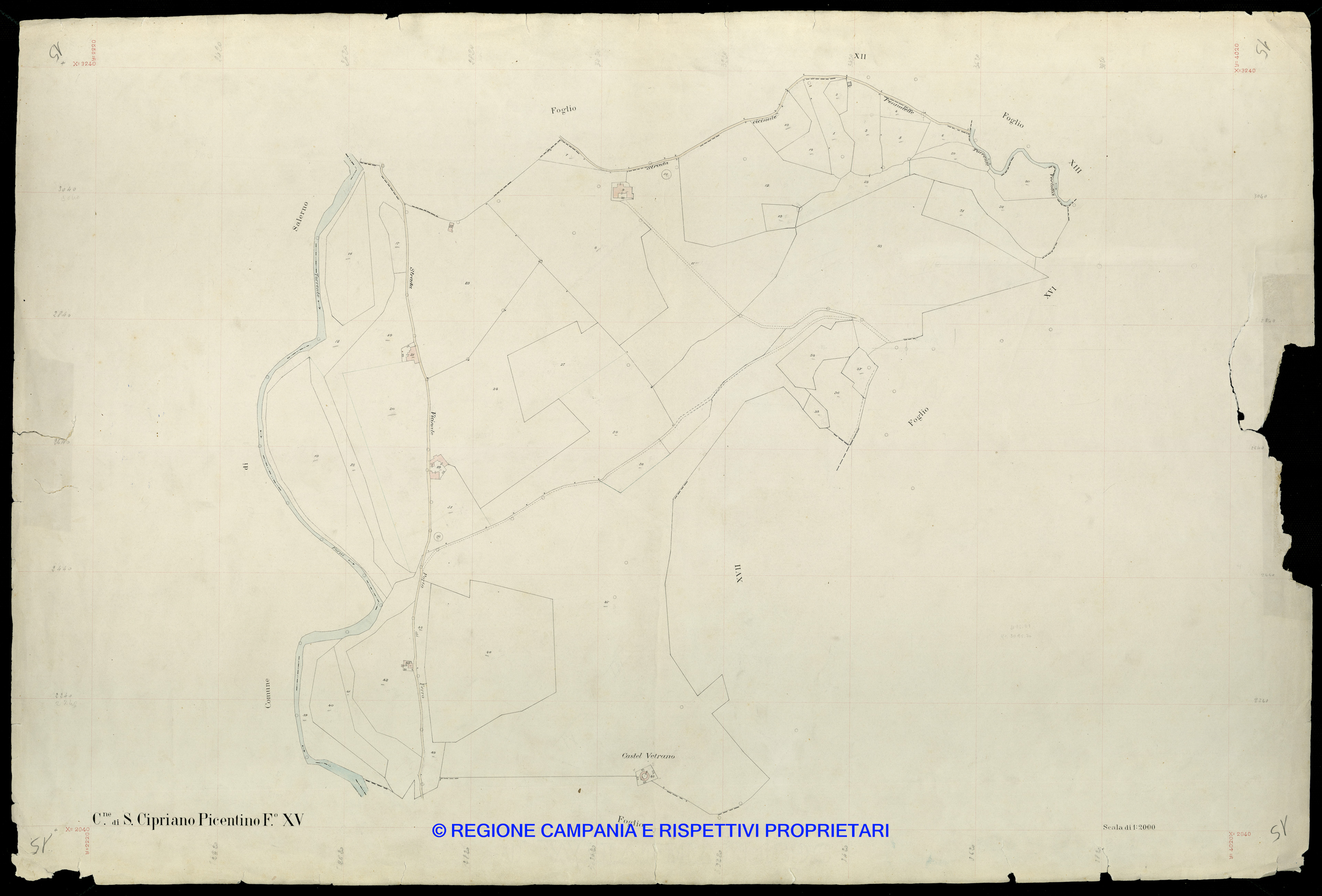Mappa