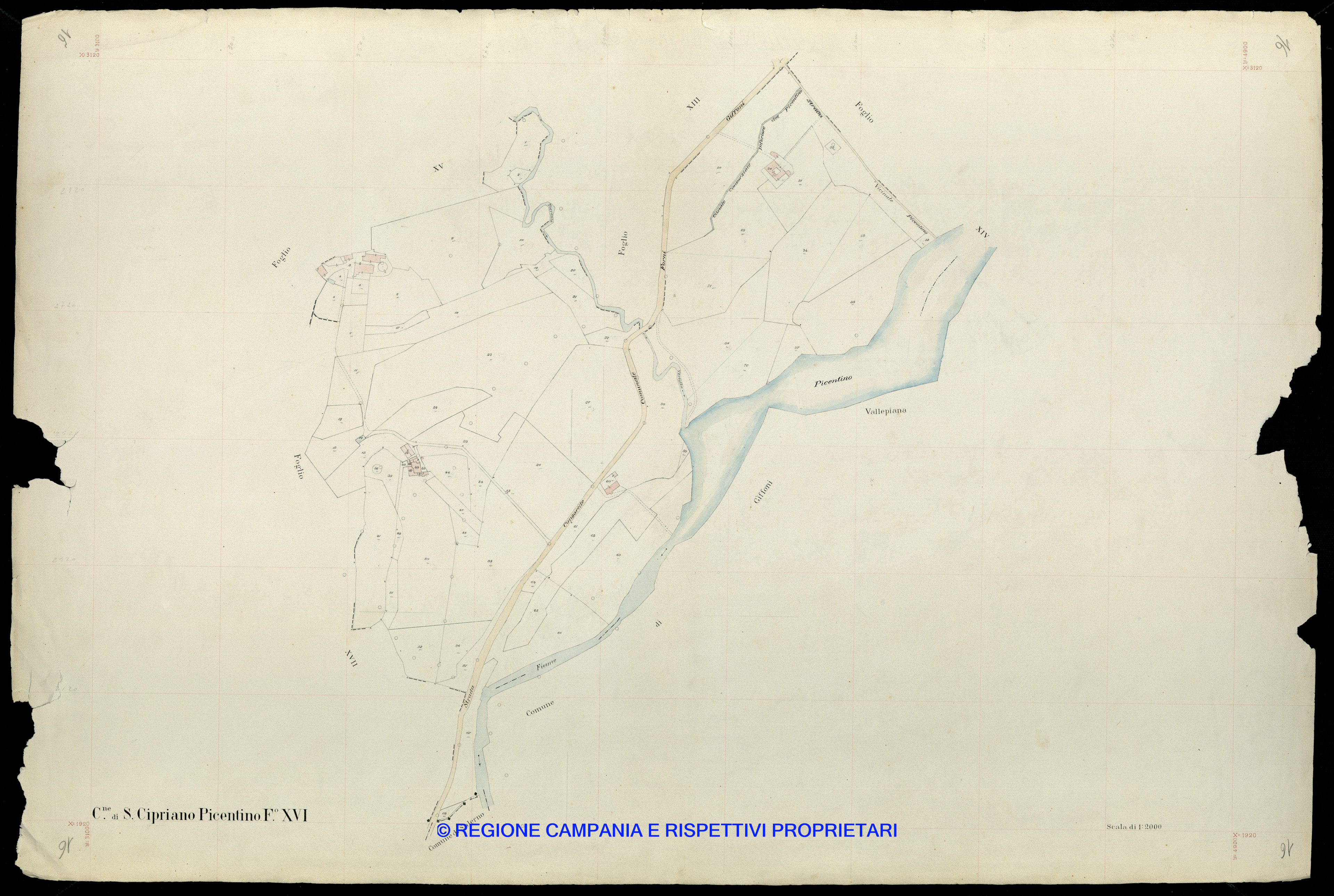 Mappa