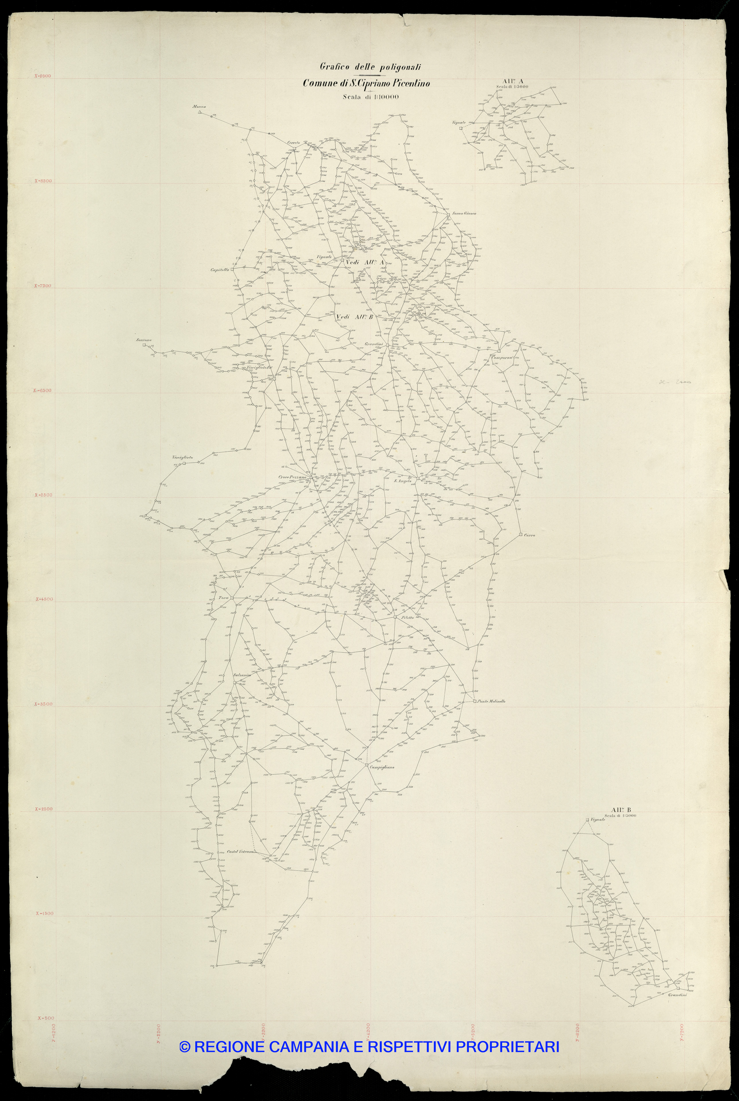 Grafico delle Poligonali
