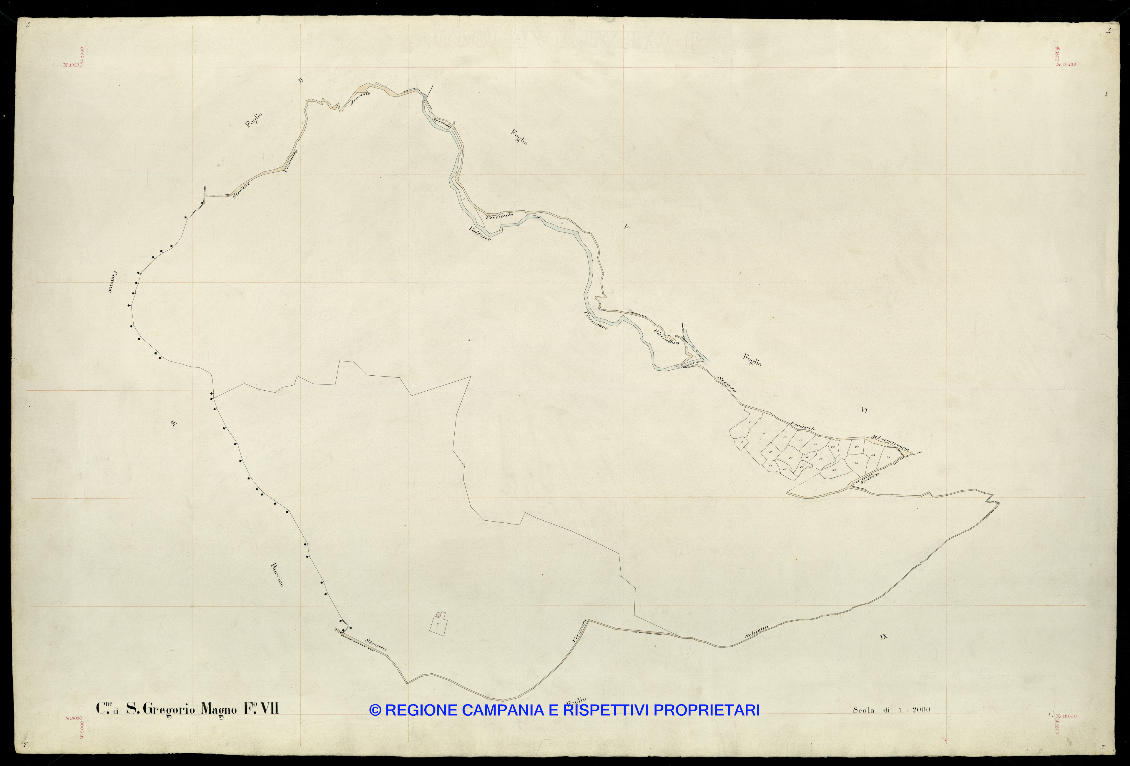 Mappa