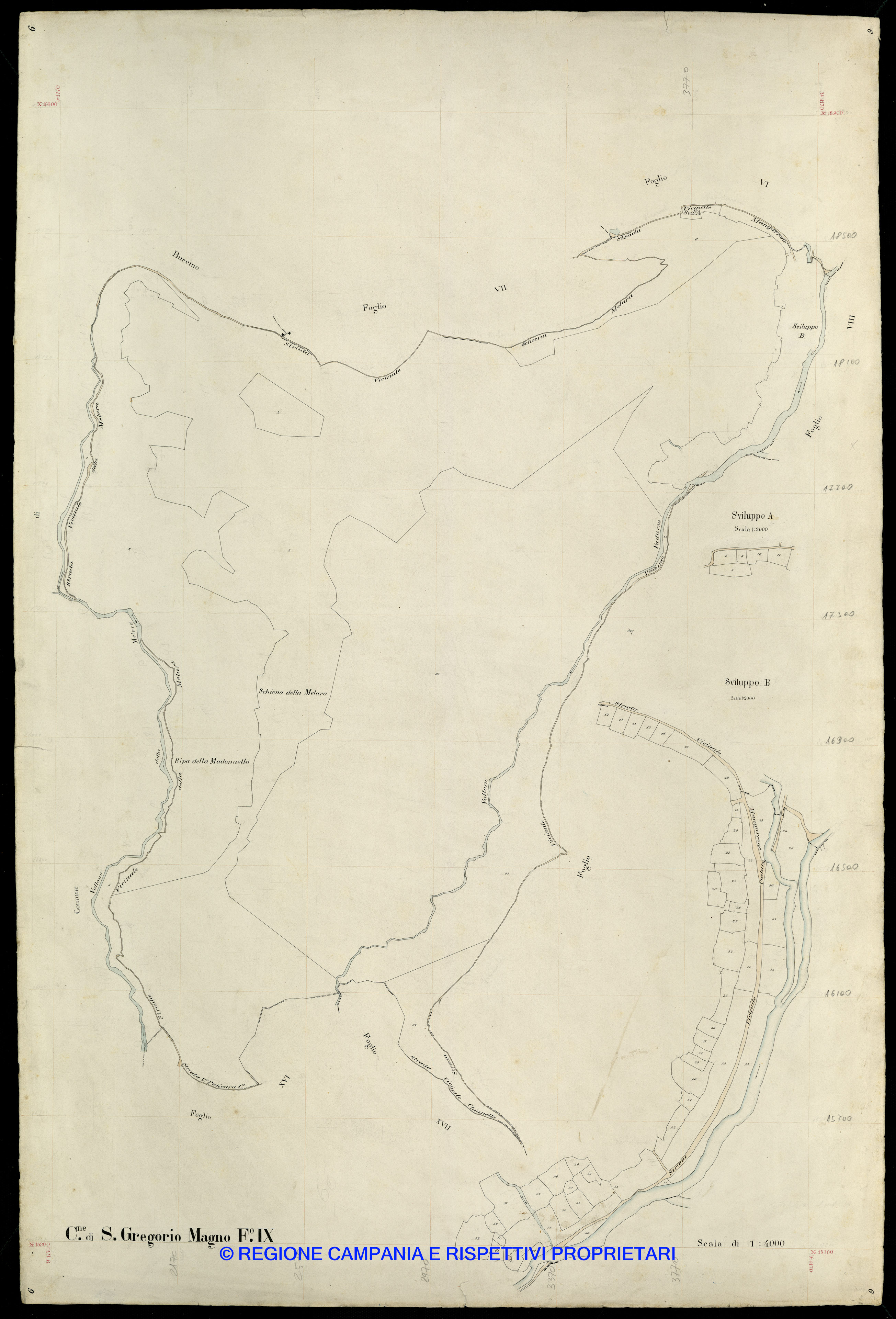 Mappa