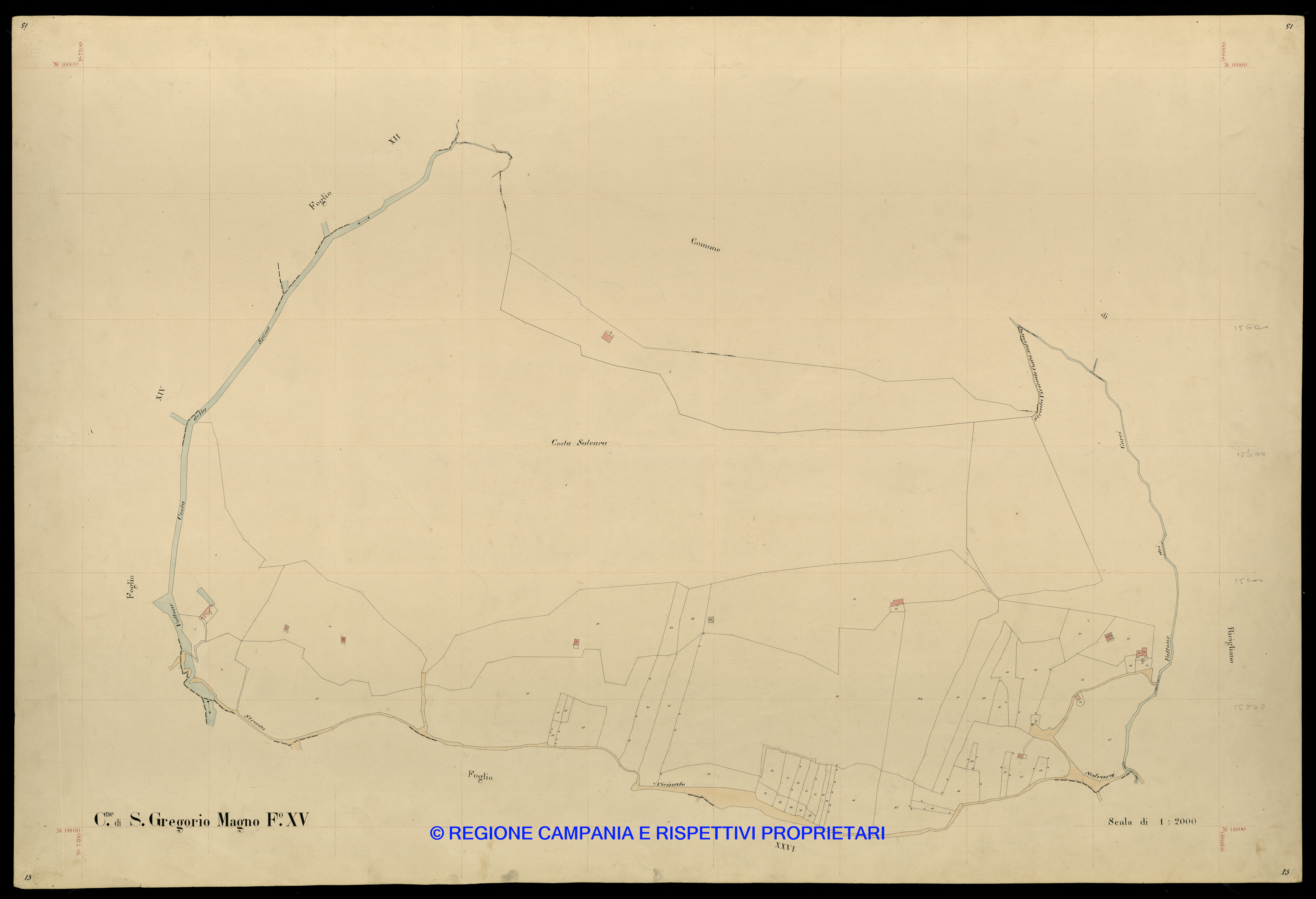 Mappa