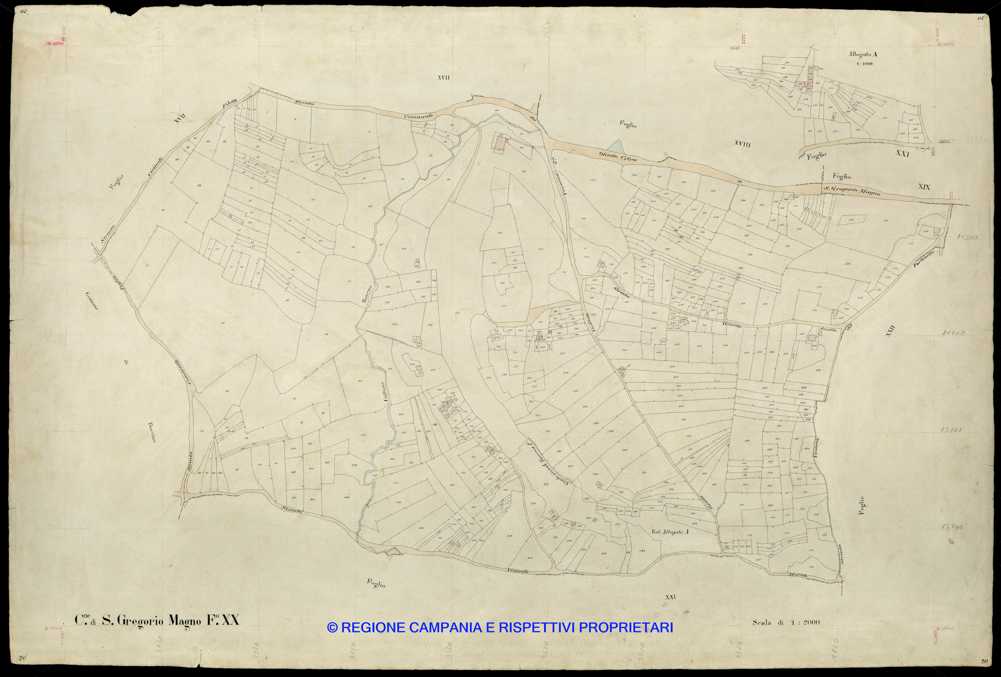 Mappa