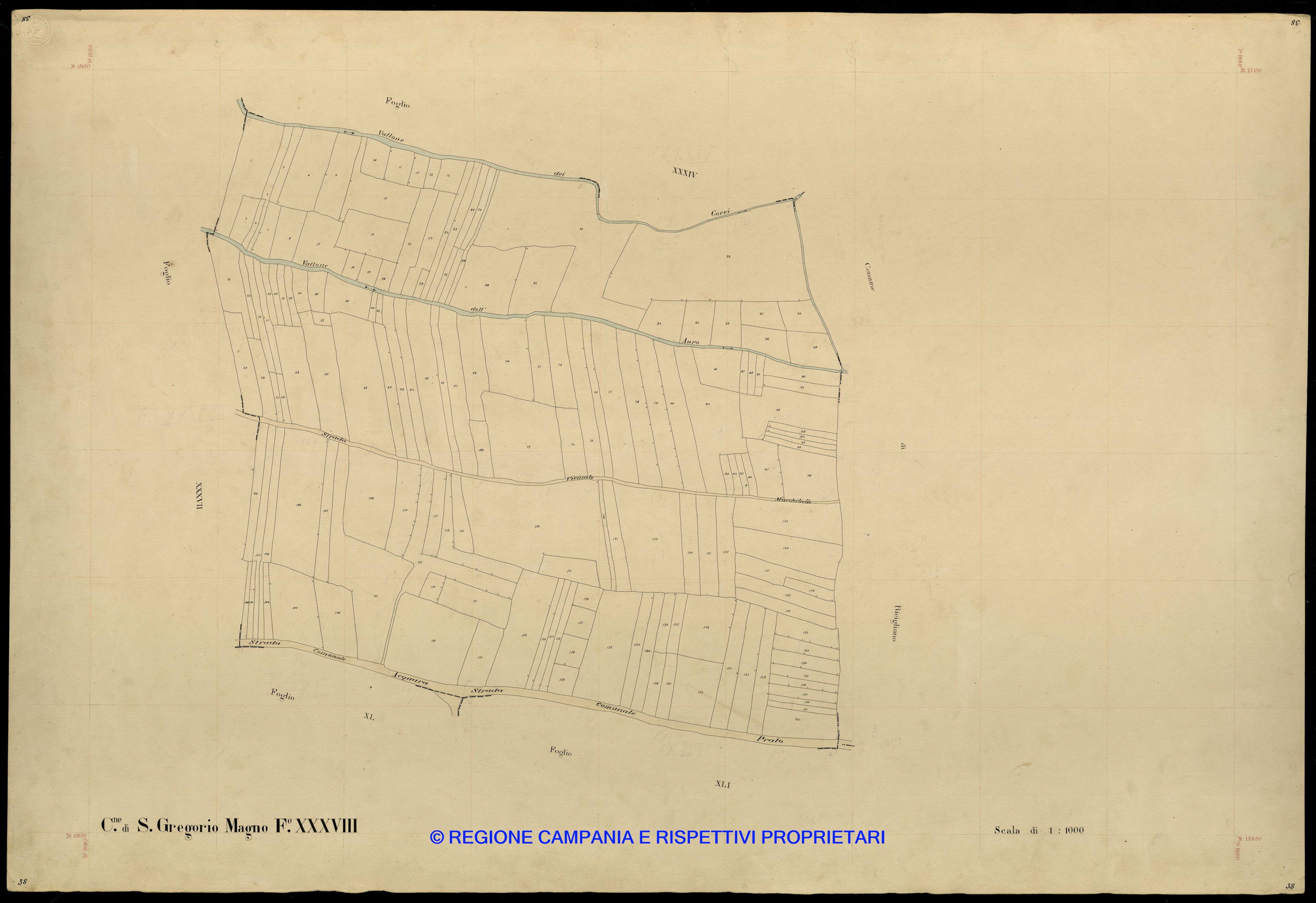 Mappa