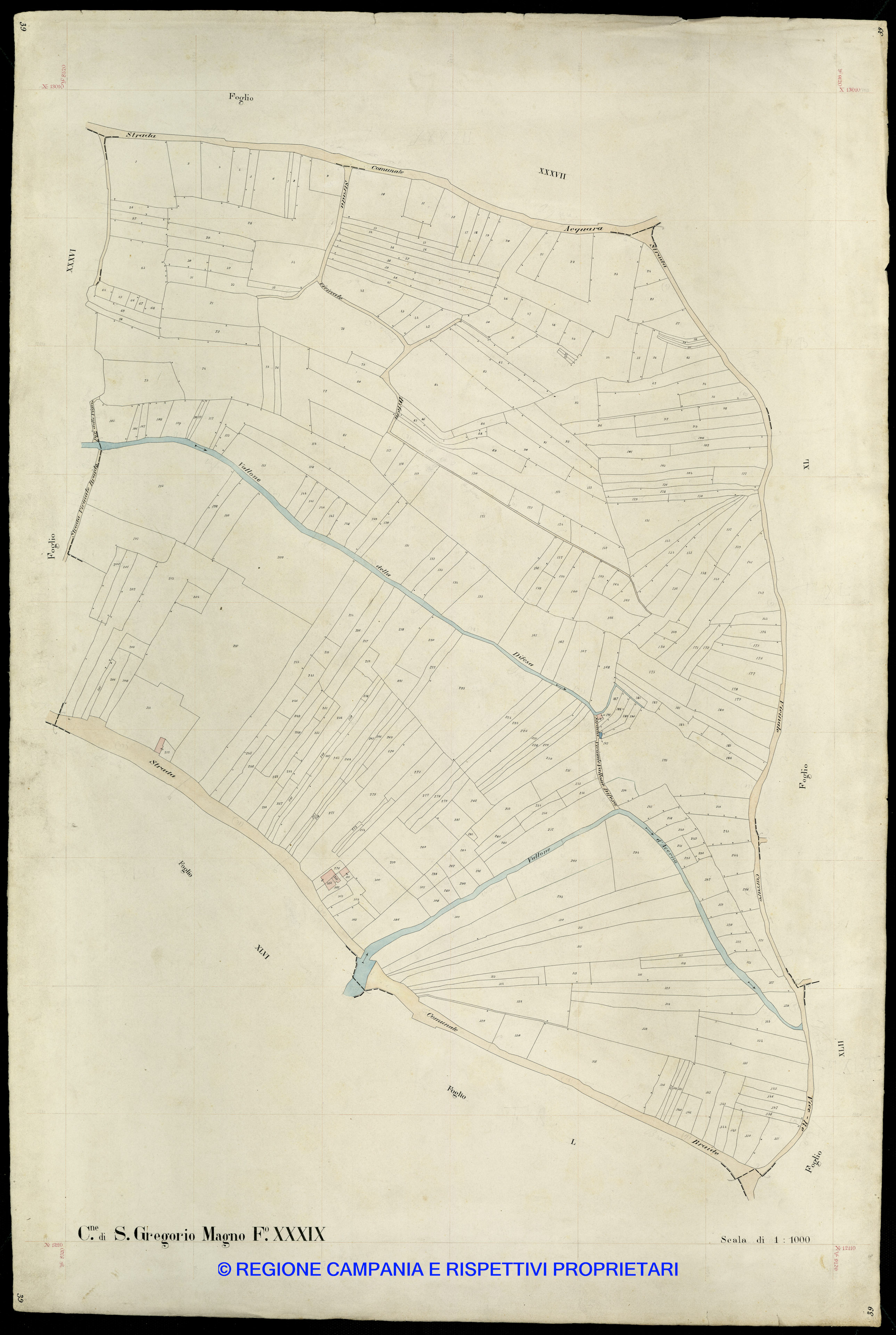 Mappa